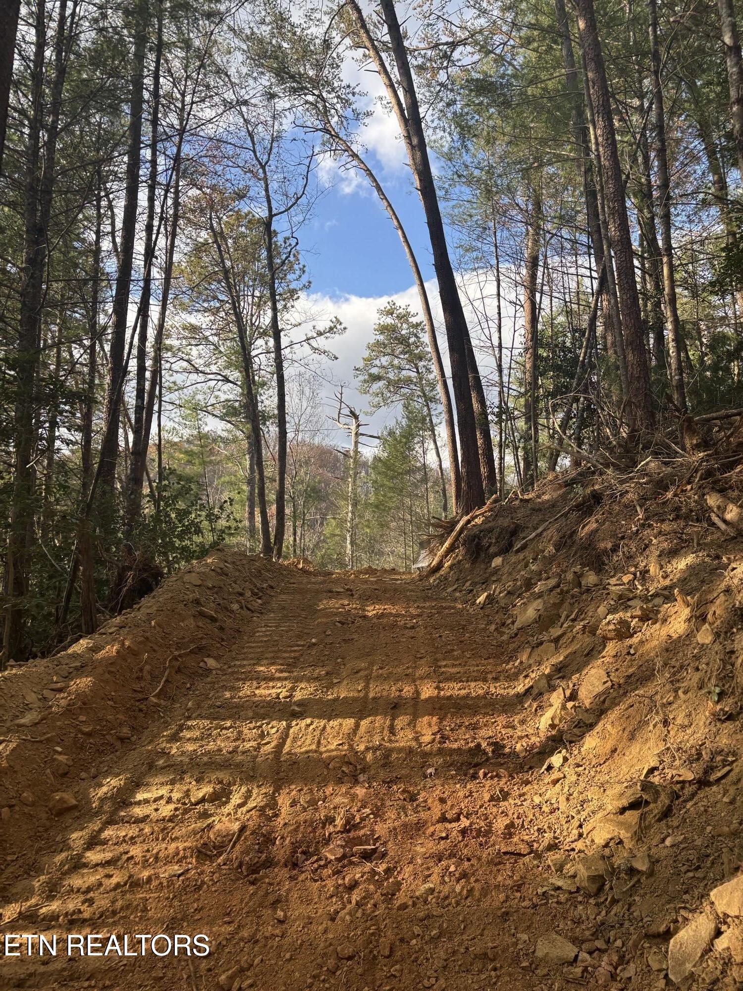 4354 Ball Hollow Road Cosby TN 37722