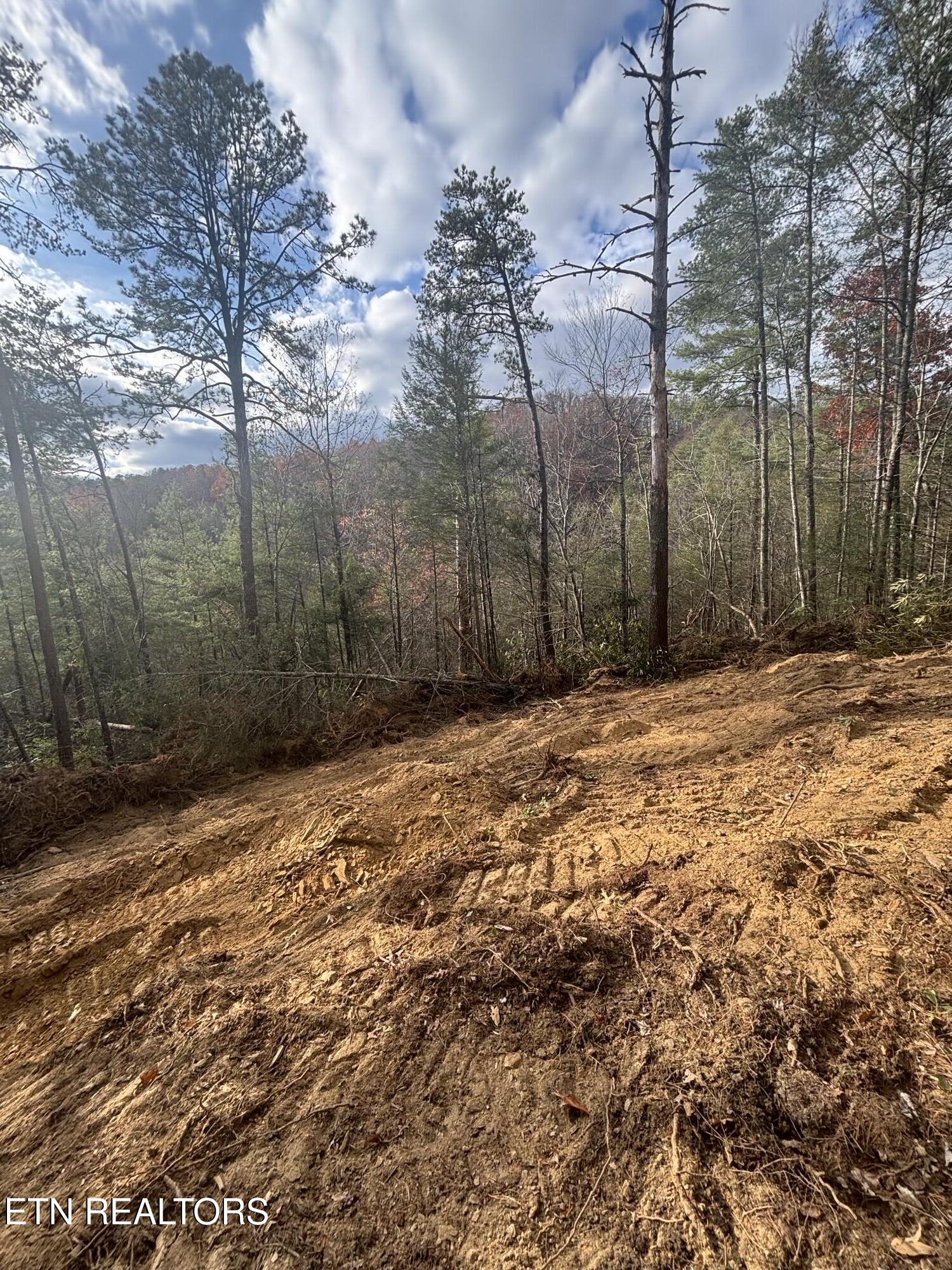 4354 Ball Hollow Road Cosby TN 37722