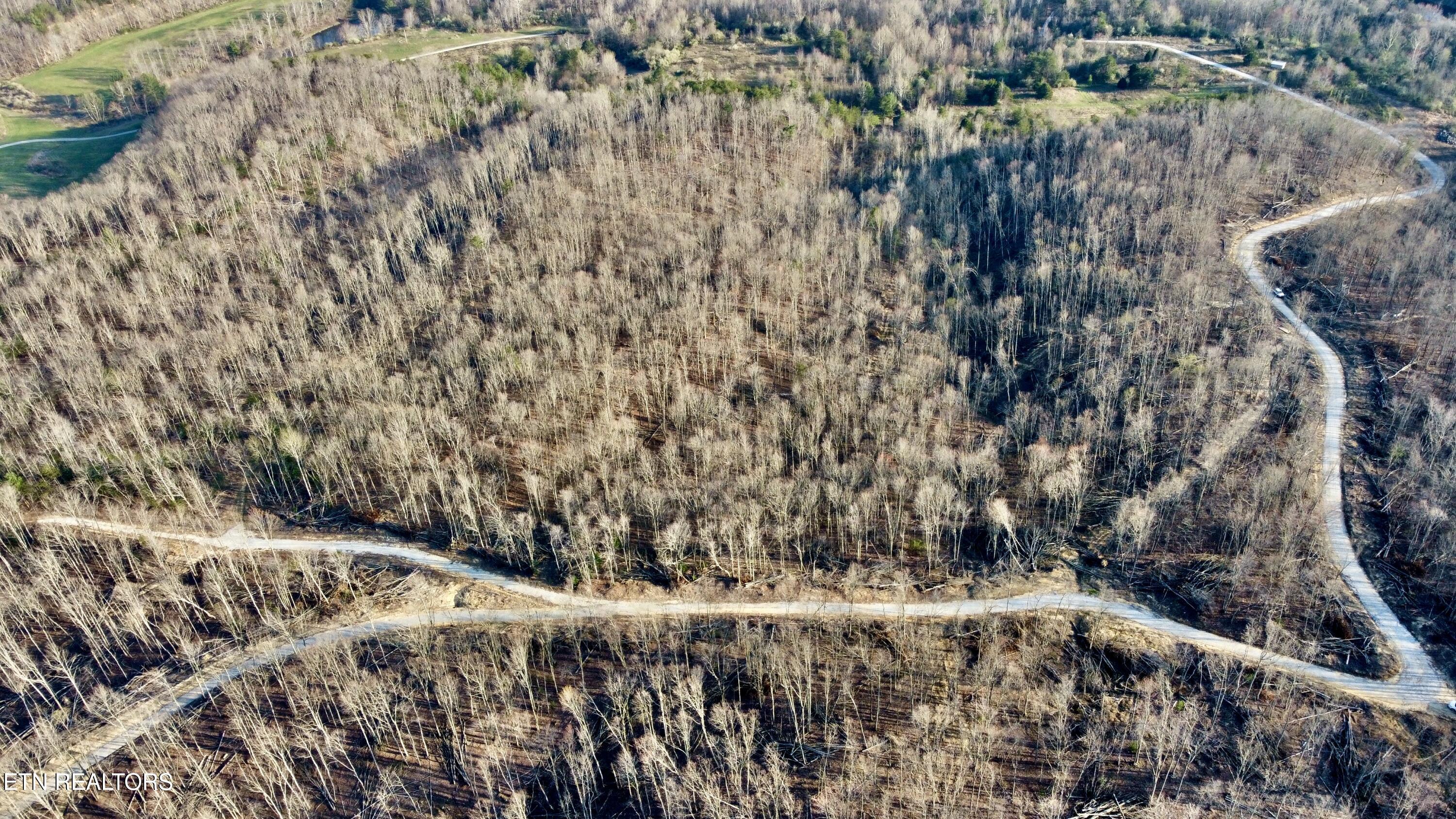 LOT#12 Mill Creek Road Sunbright TN 37872