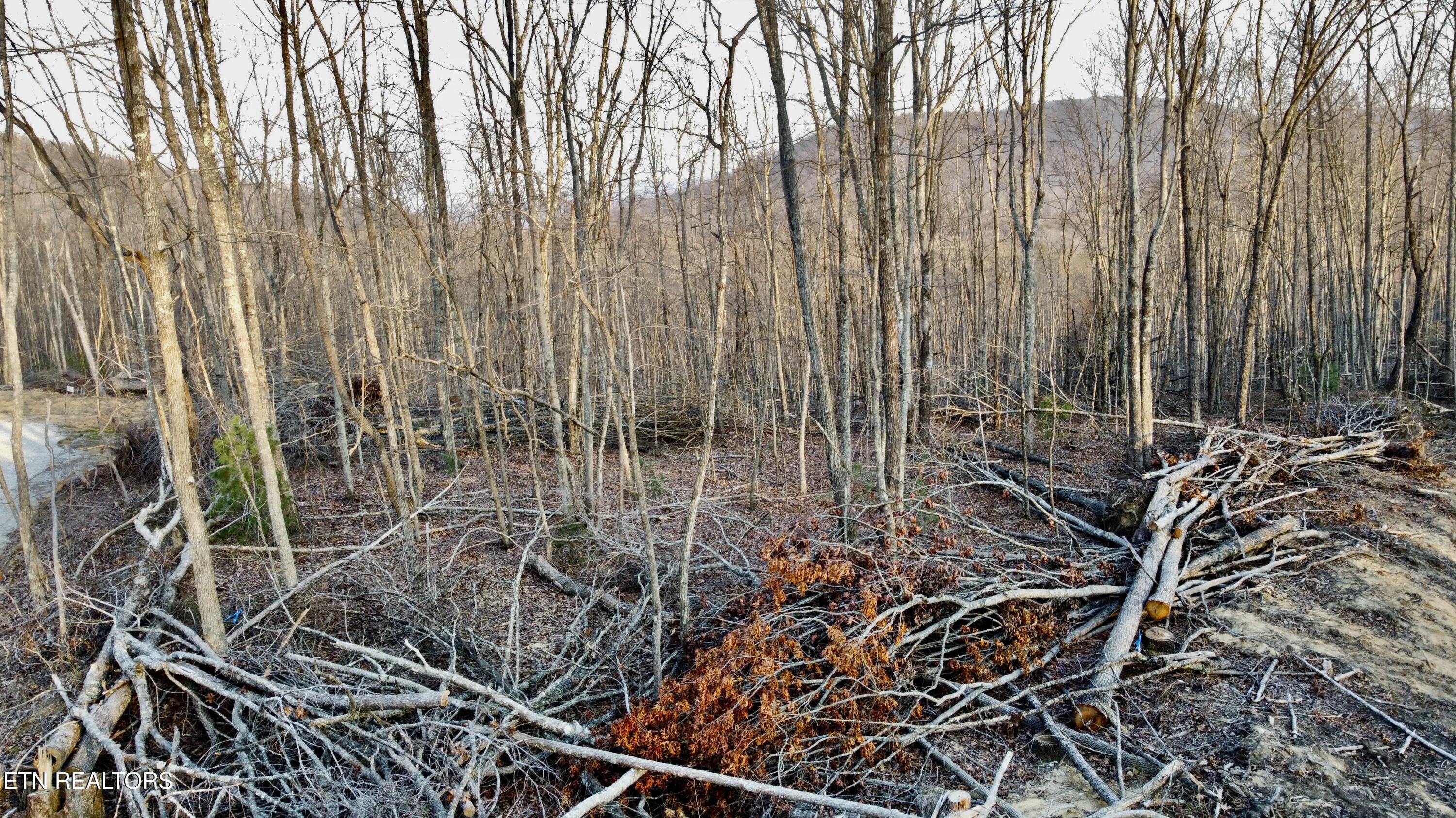 LOT#12 Mill Creek Road Sunbright TN 37872