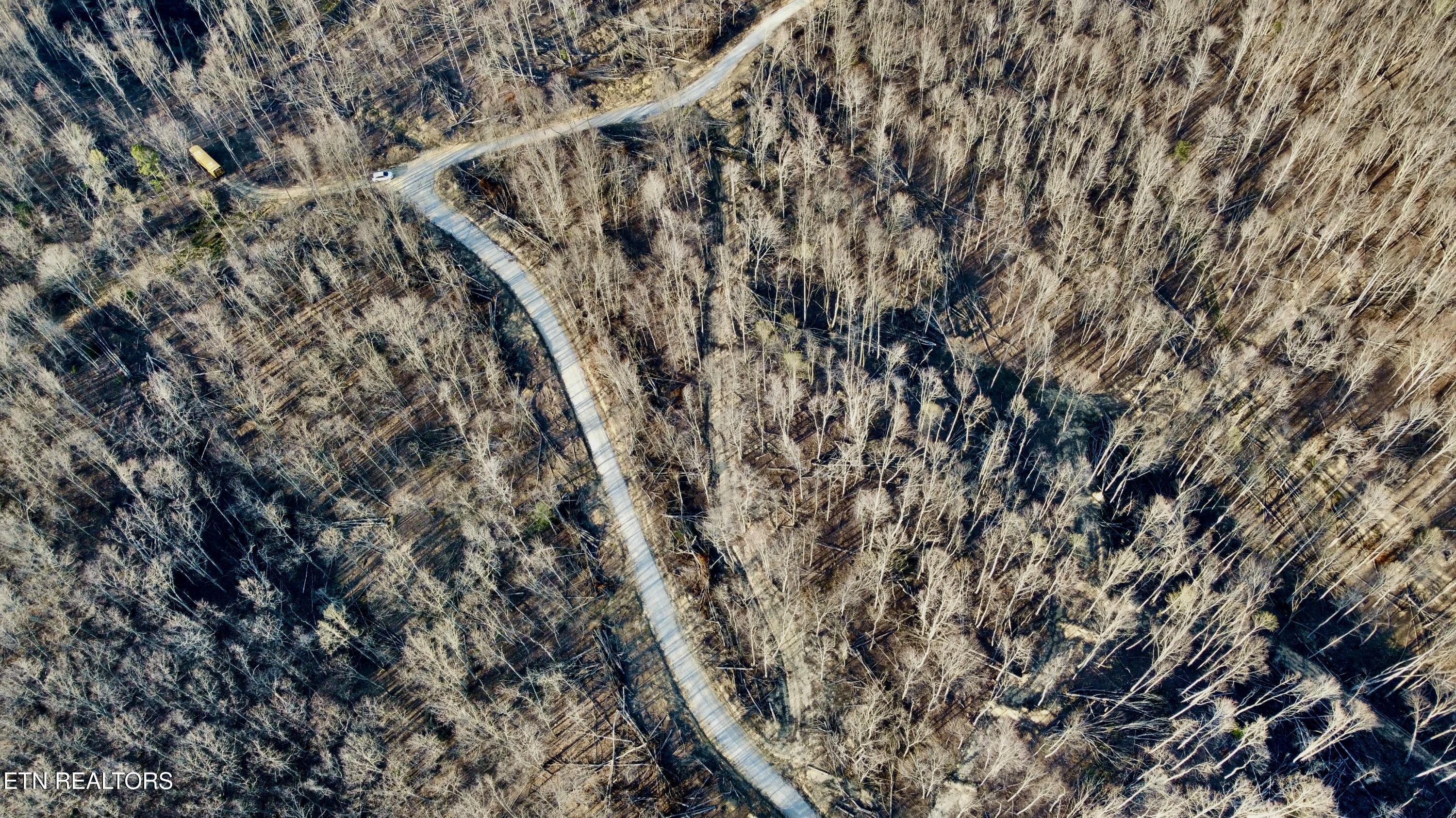 LOT#12 Mill Creek Road Sunbright TN 37872