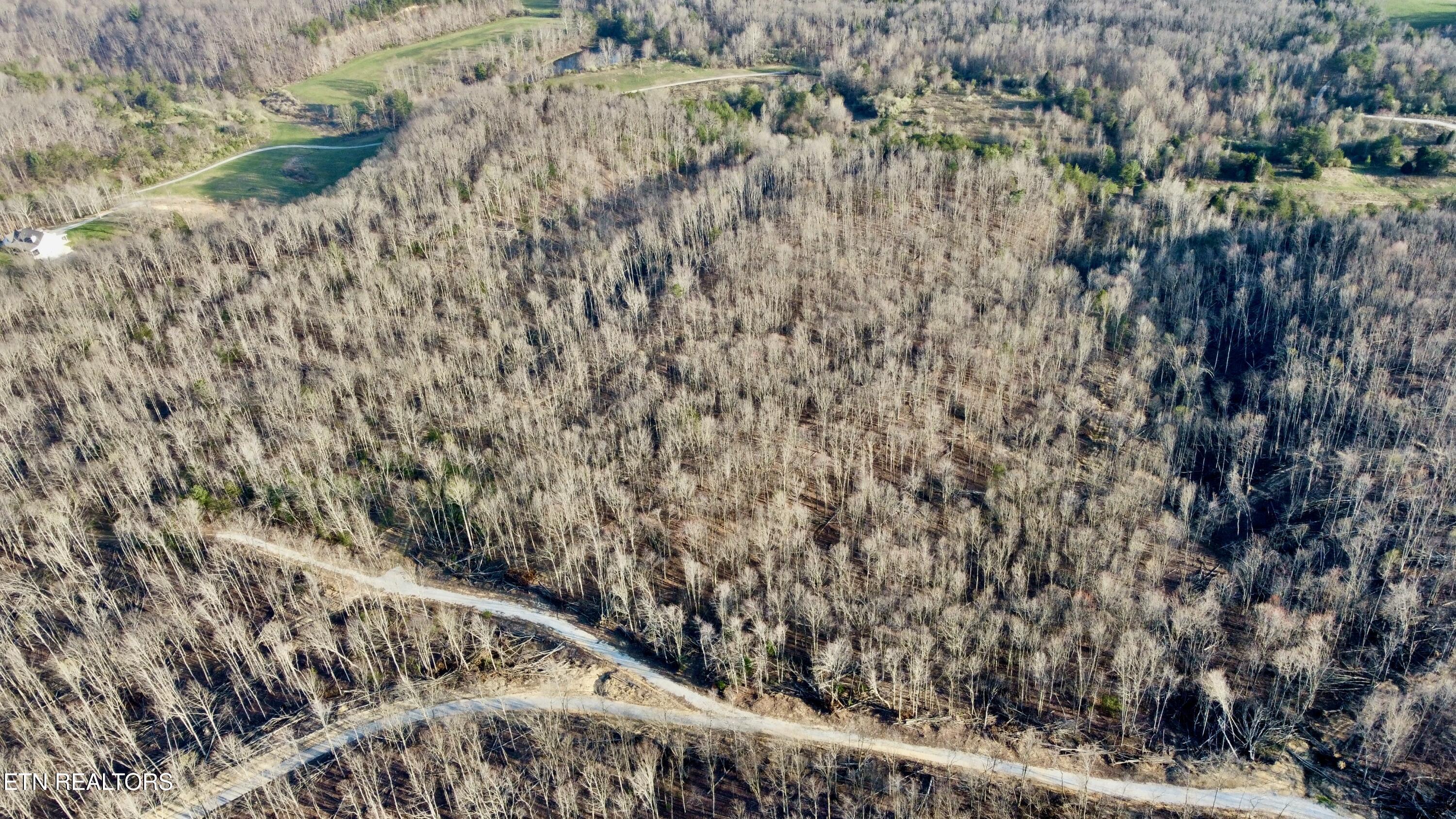 LOT#12 Mill Creek Road Sunbright TN 37872