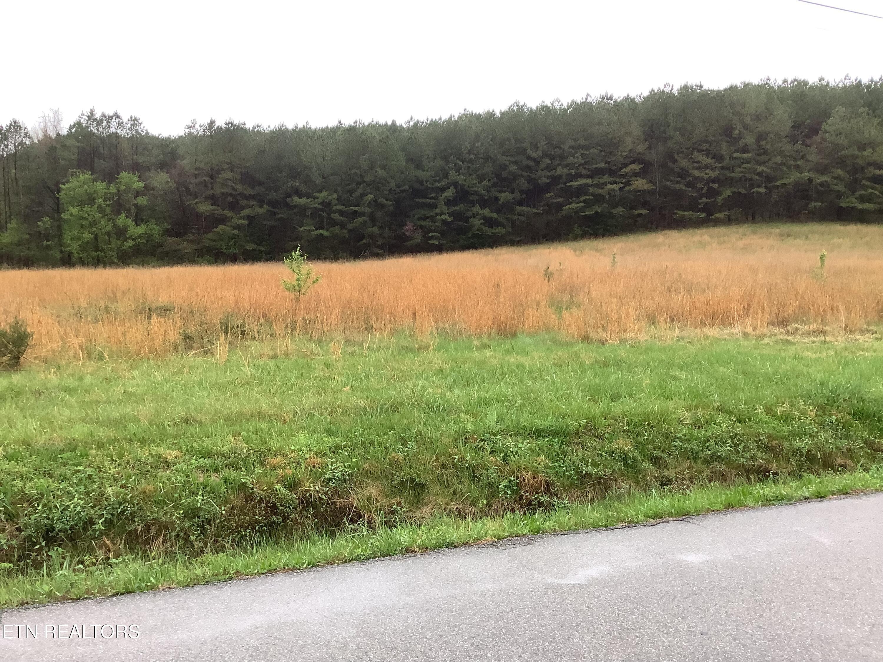 113 Woods Hollow Road Decatur TN 37322