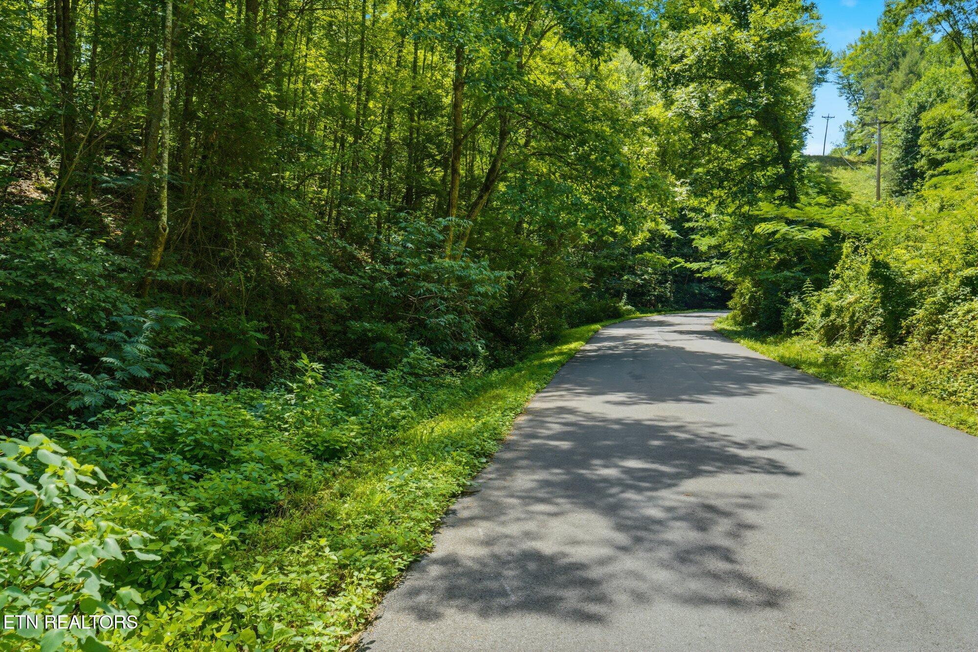Sevierville TN 37876