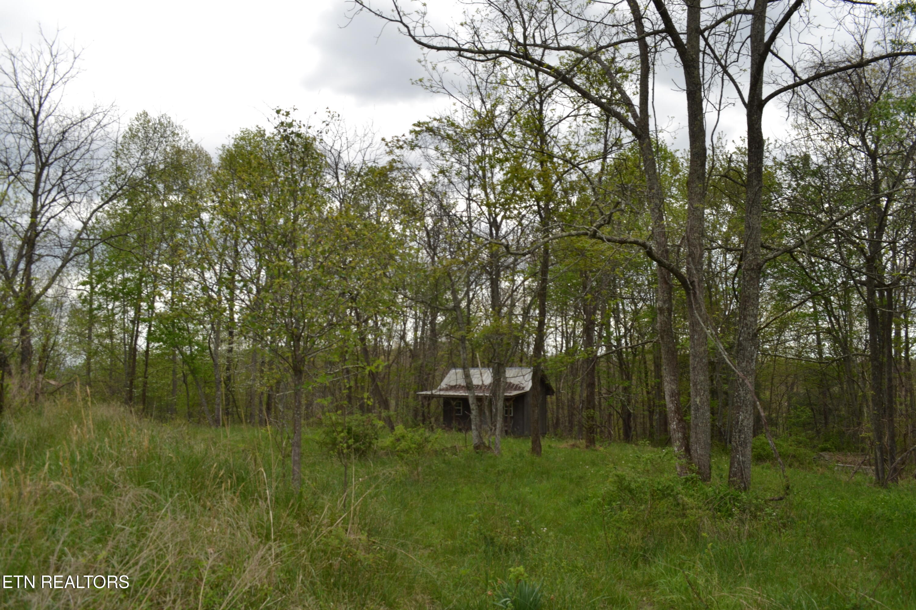 N Of Deer Lodge Highway Deer Lodge TN 37726