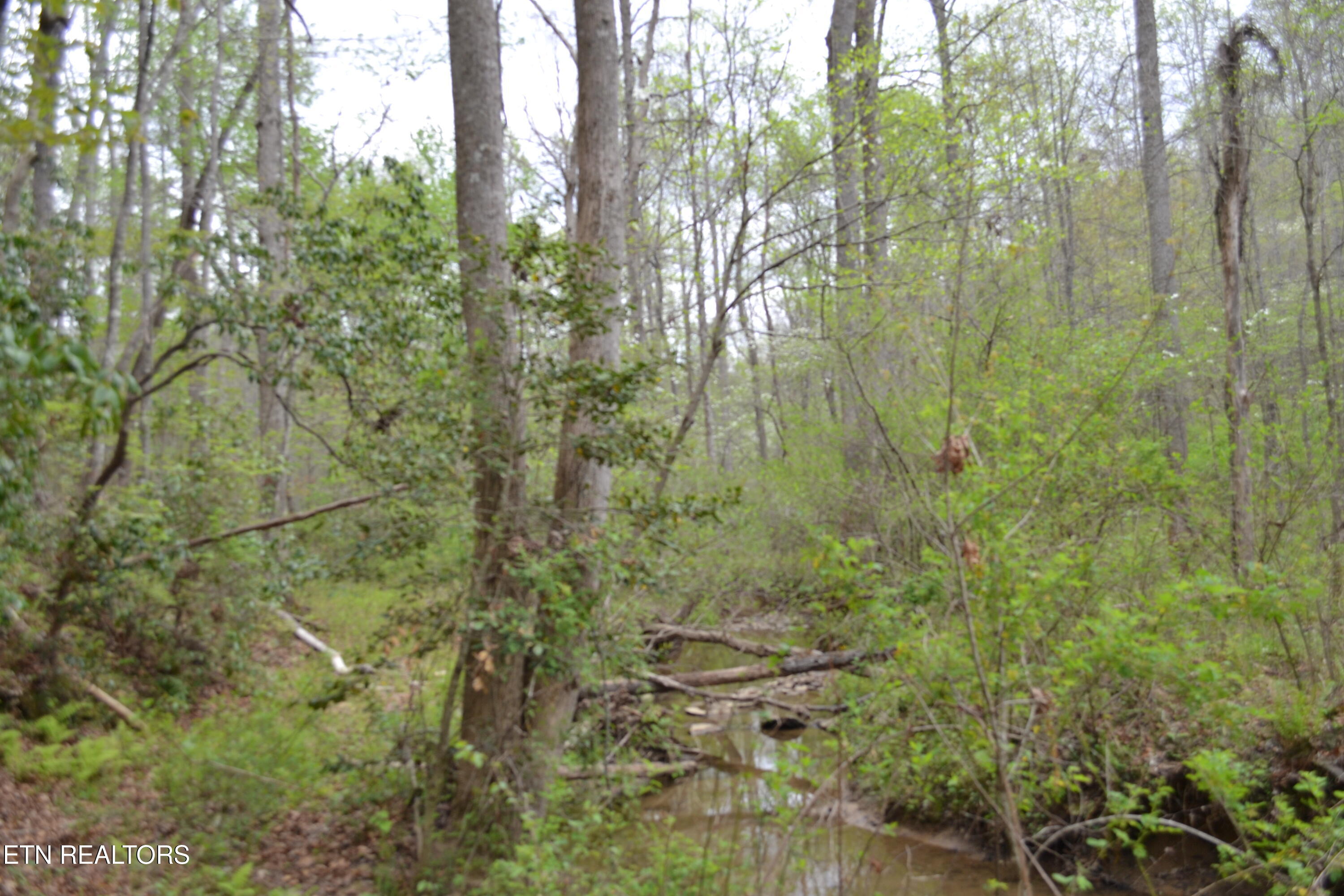 N Of Deer Lodge Highway Deer Lodge TN 37726