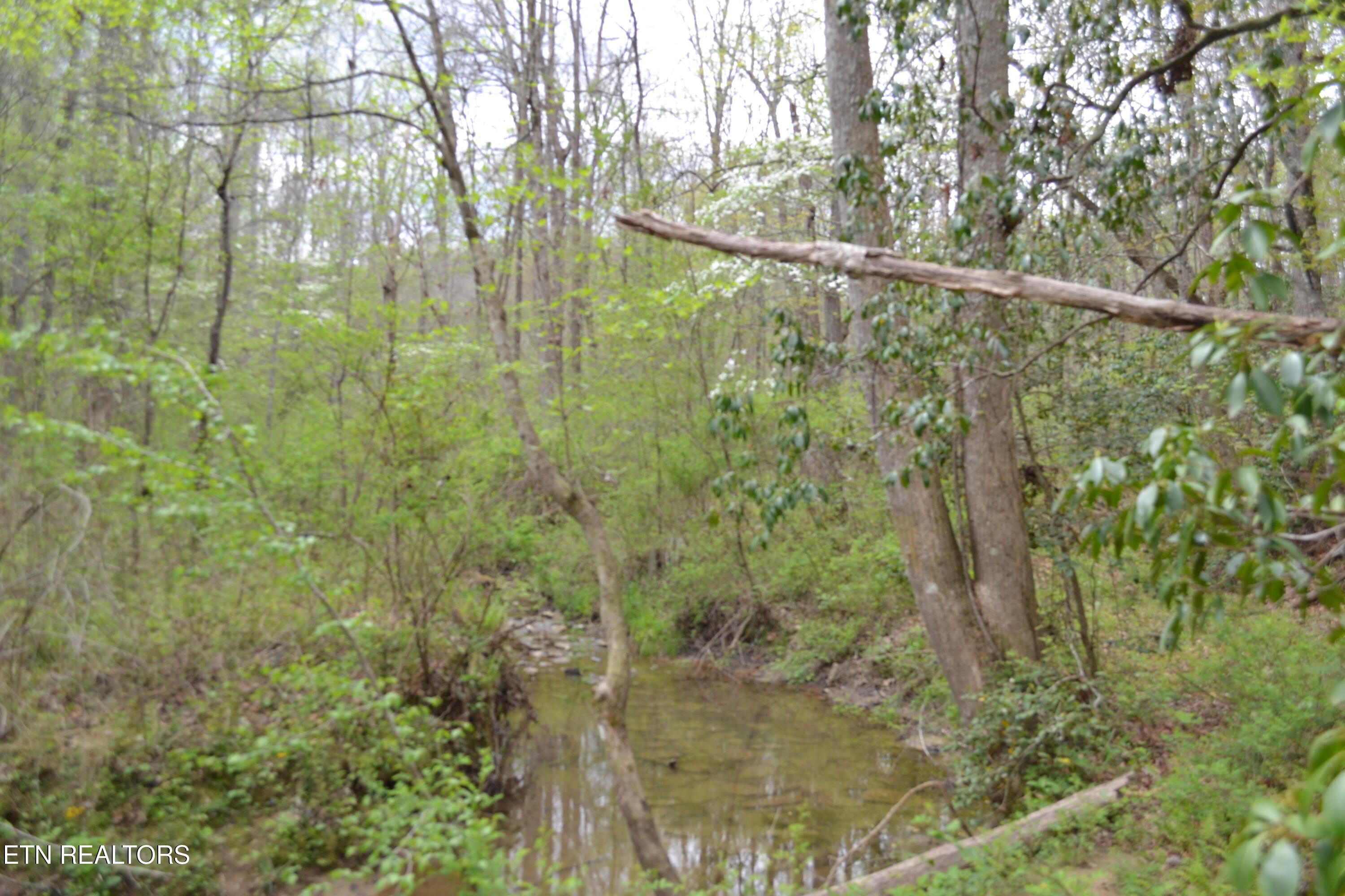 N Of Deer Lodge Highway Deer Lodge TN 37726