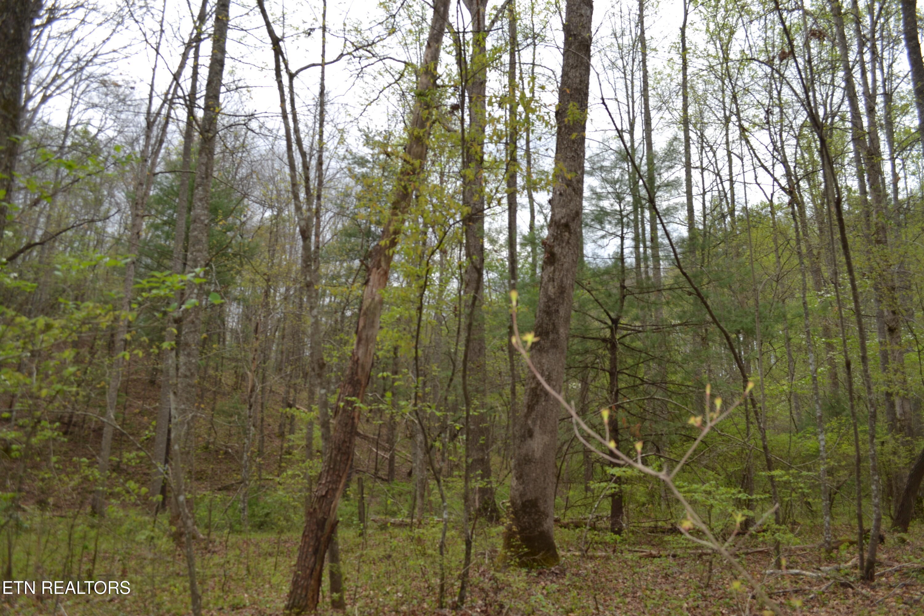 N Of Deer Lodge Highway Deer Lodge TN 37726