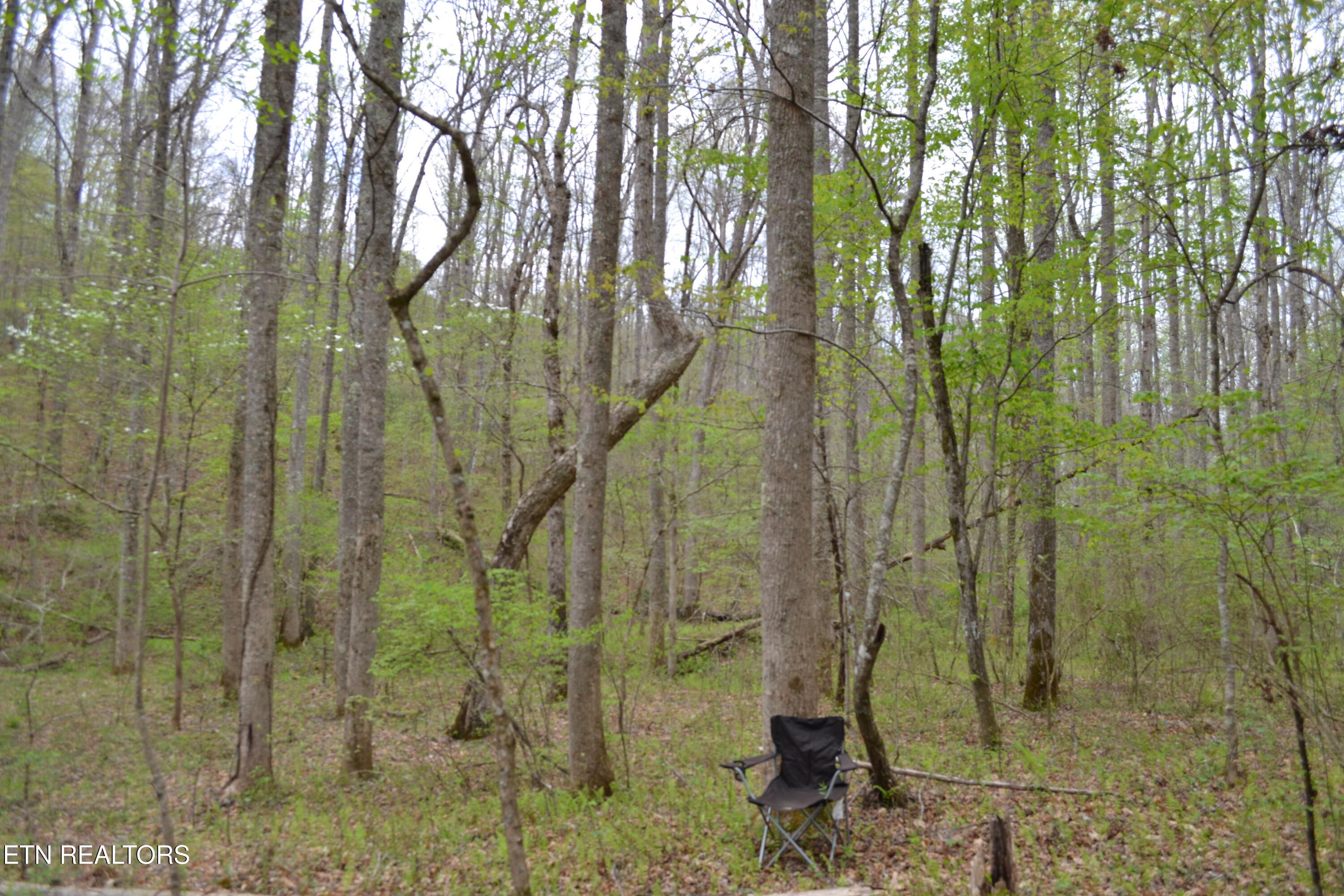N Of Deer Lodge Highway Deer Lodge TN 37726
