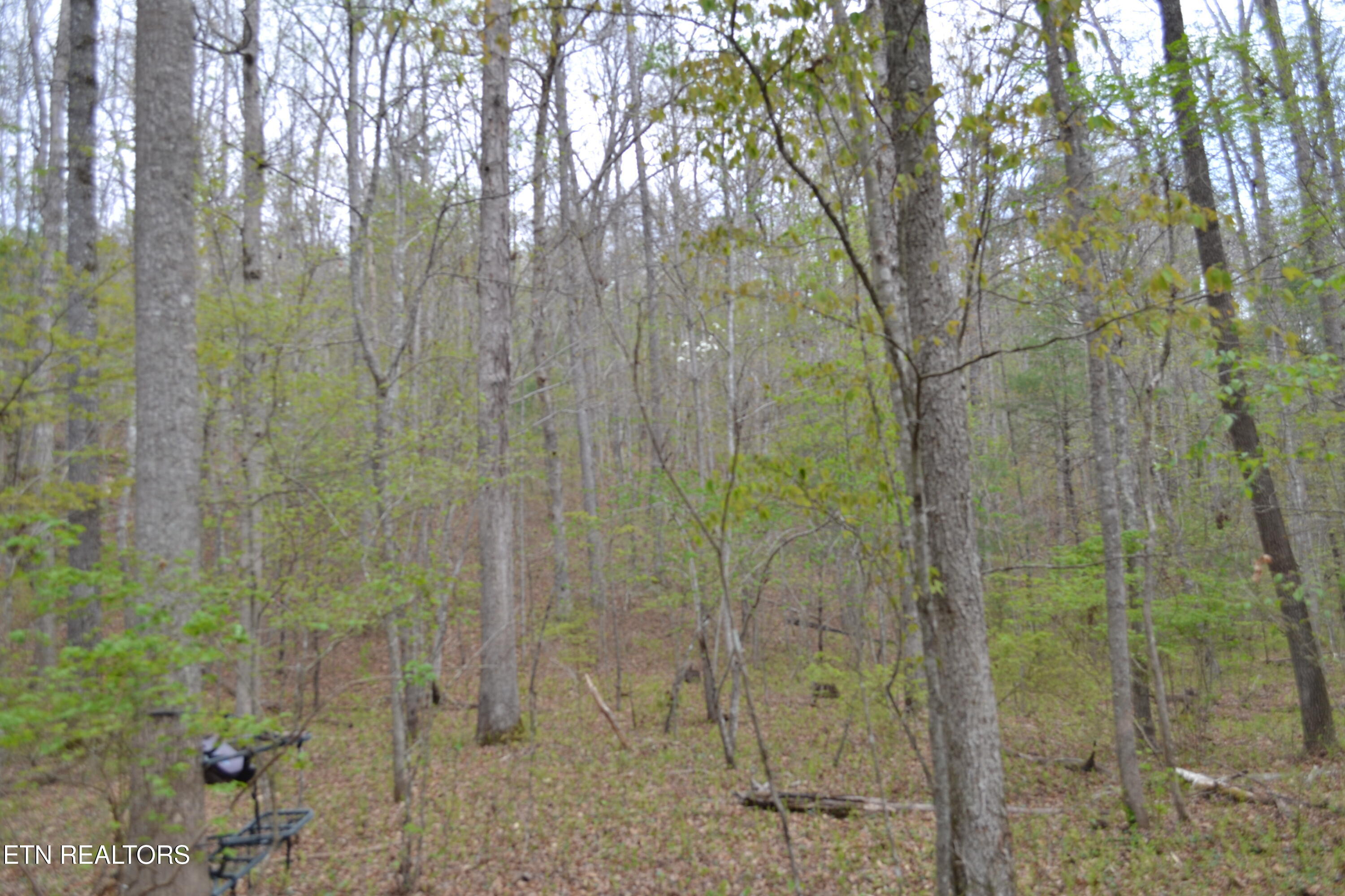 N Of Deer Lodge Highway Deer Lodge TN 37726