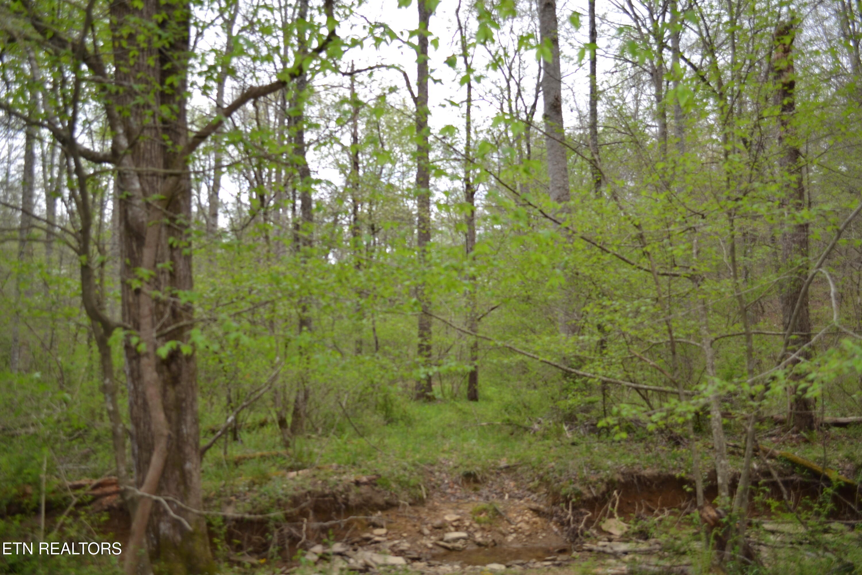 N Of Deer Lodge Highway Deer Lodge TN 37726