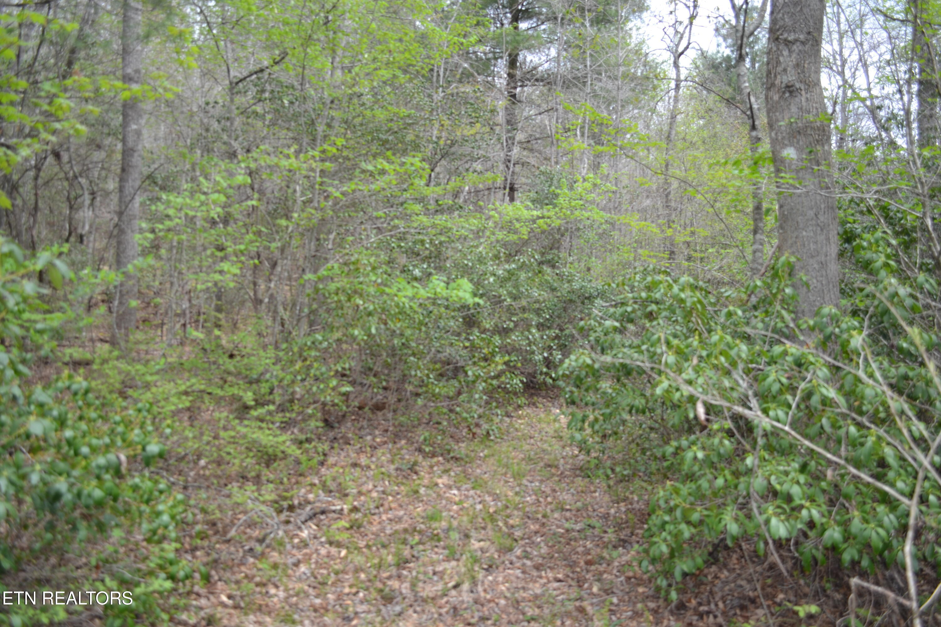 N Of Deer Lodge Highway Deer Lodge TN 37726
