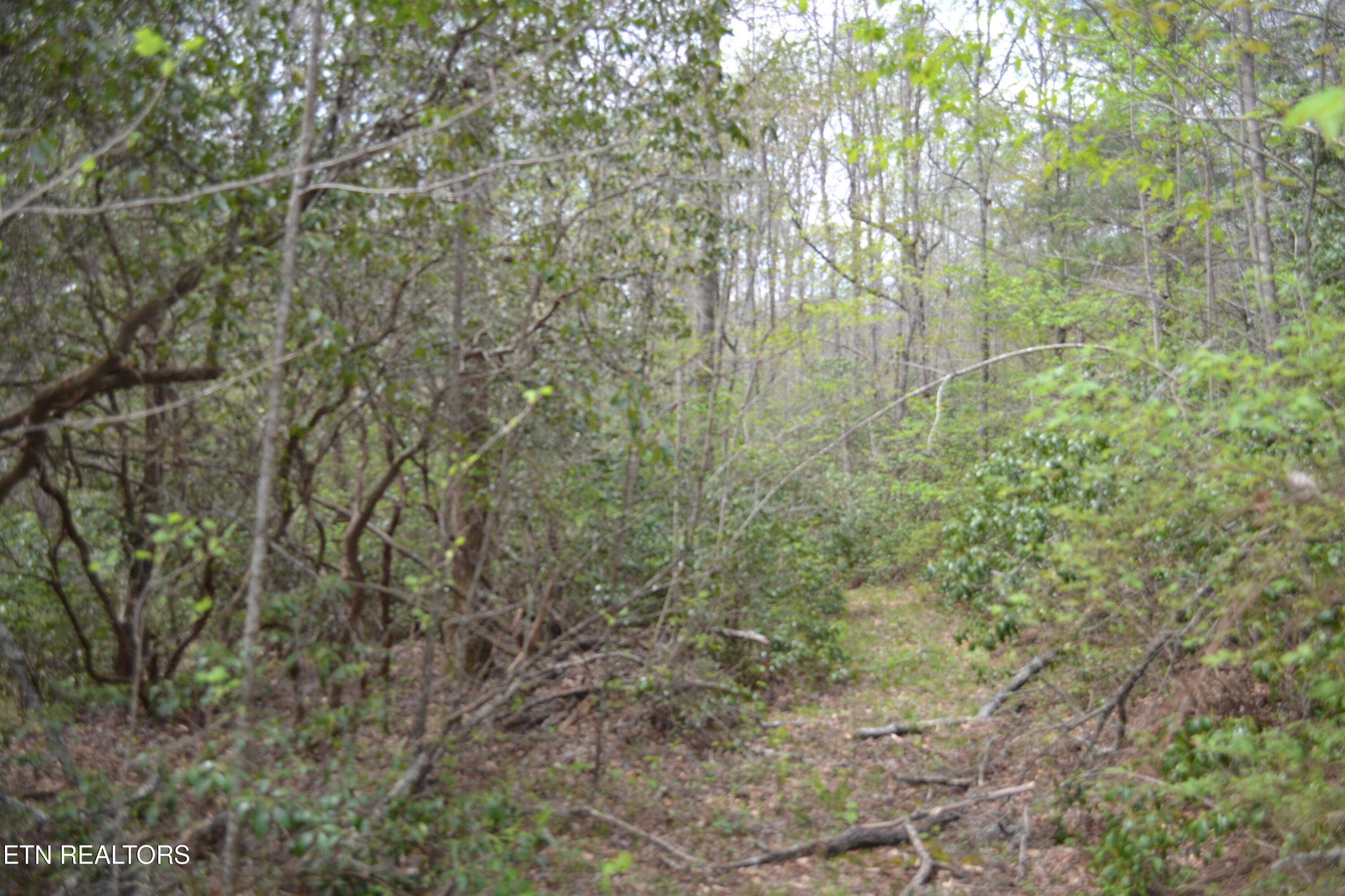 N Of Deer Lodge Highway Deer Lodge TN 37726