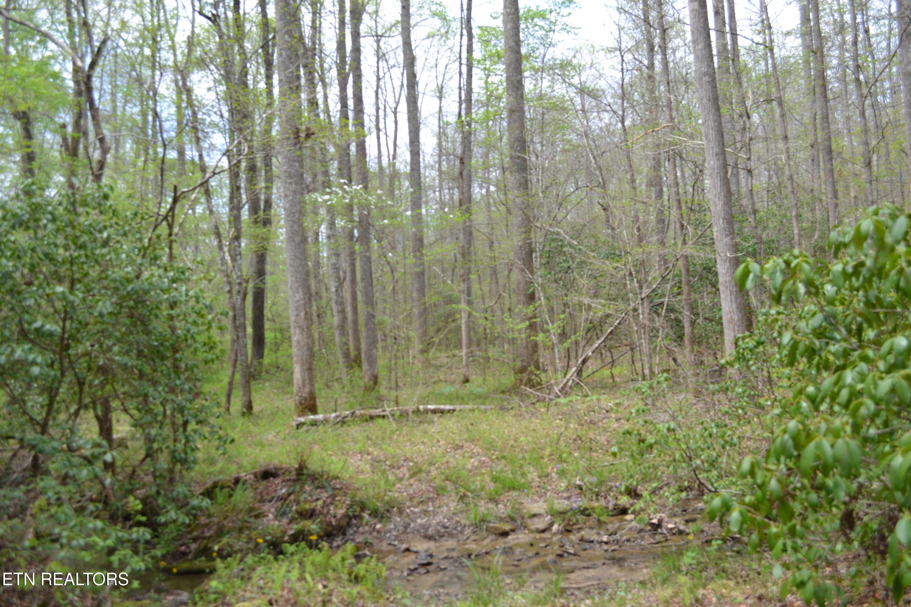 N Of Deer Lodge Highway Deer Lodge TN 37726