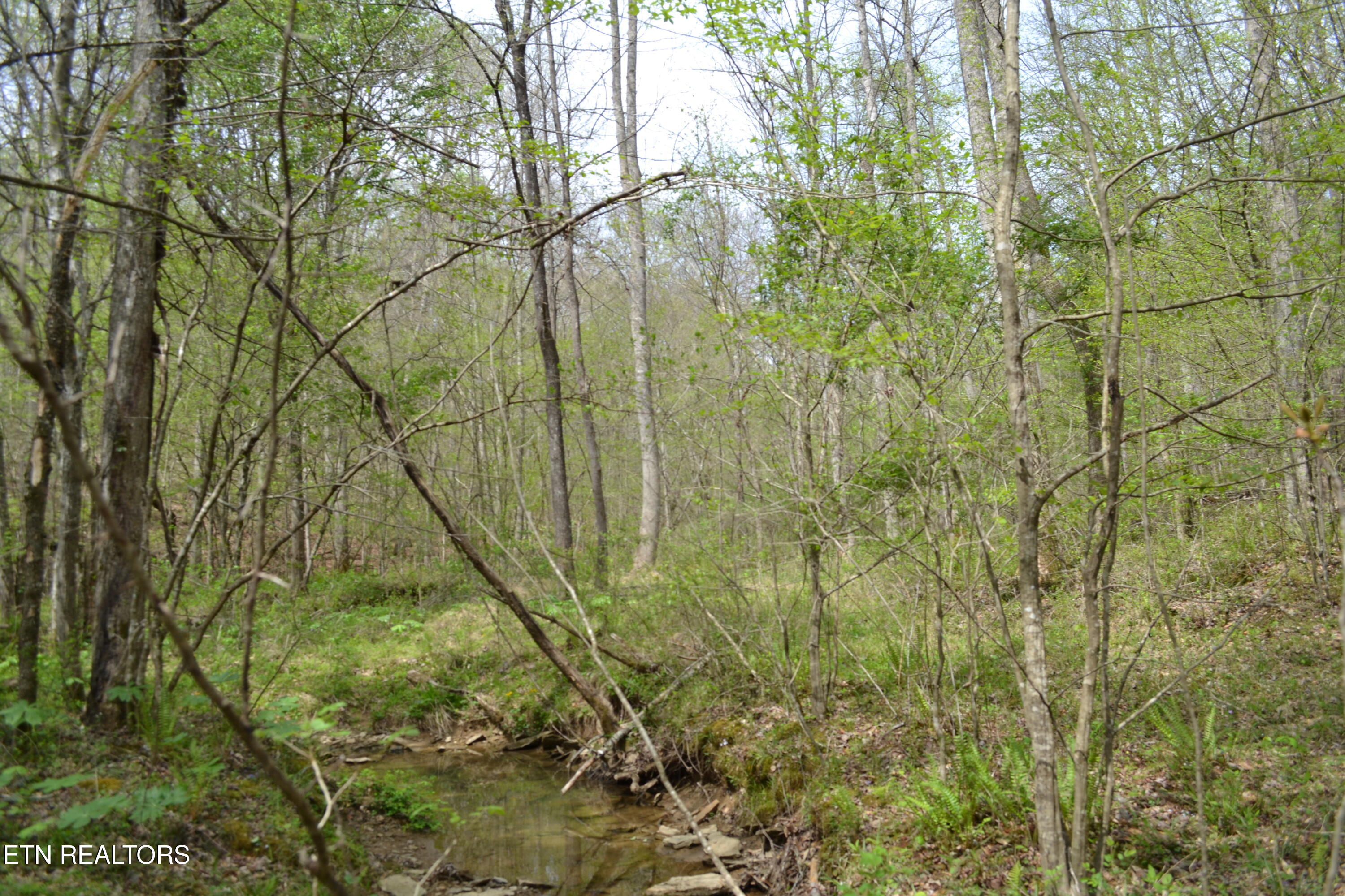 N Of Deer Lodge Highway Deer Lodge TN 37726