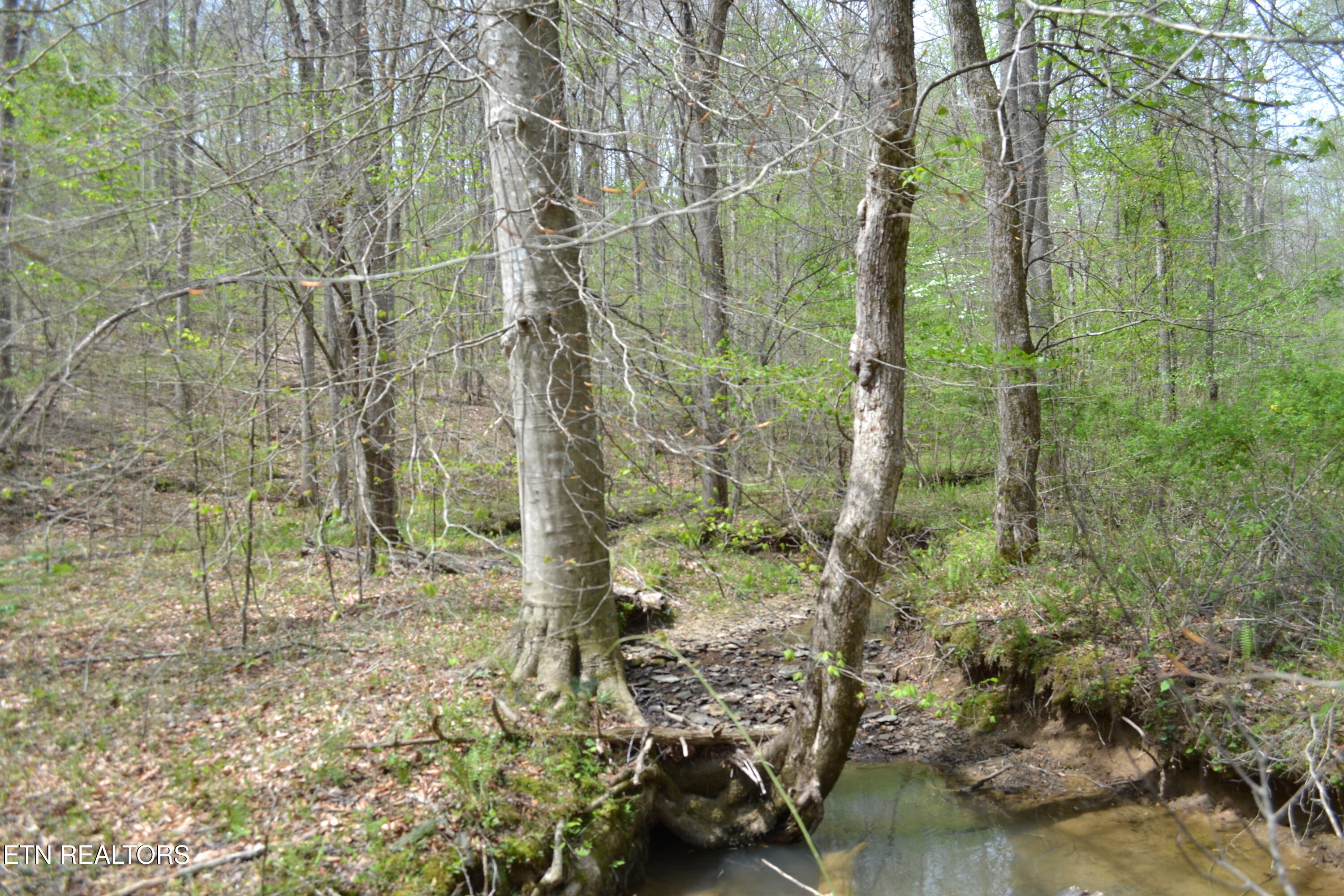 N Of Deer Lodge Highway Deer Lodge TN 37726