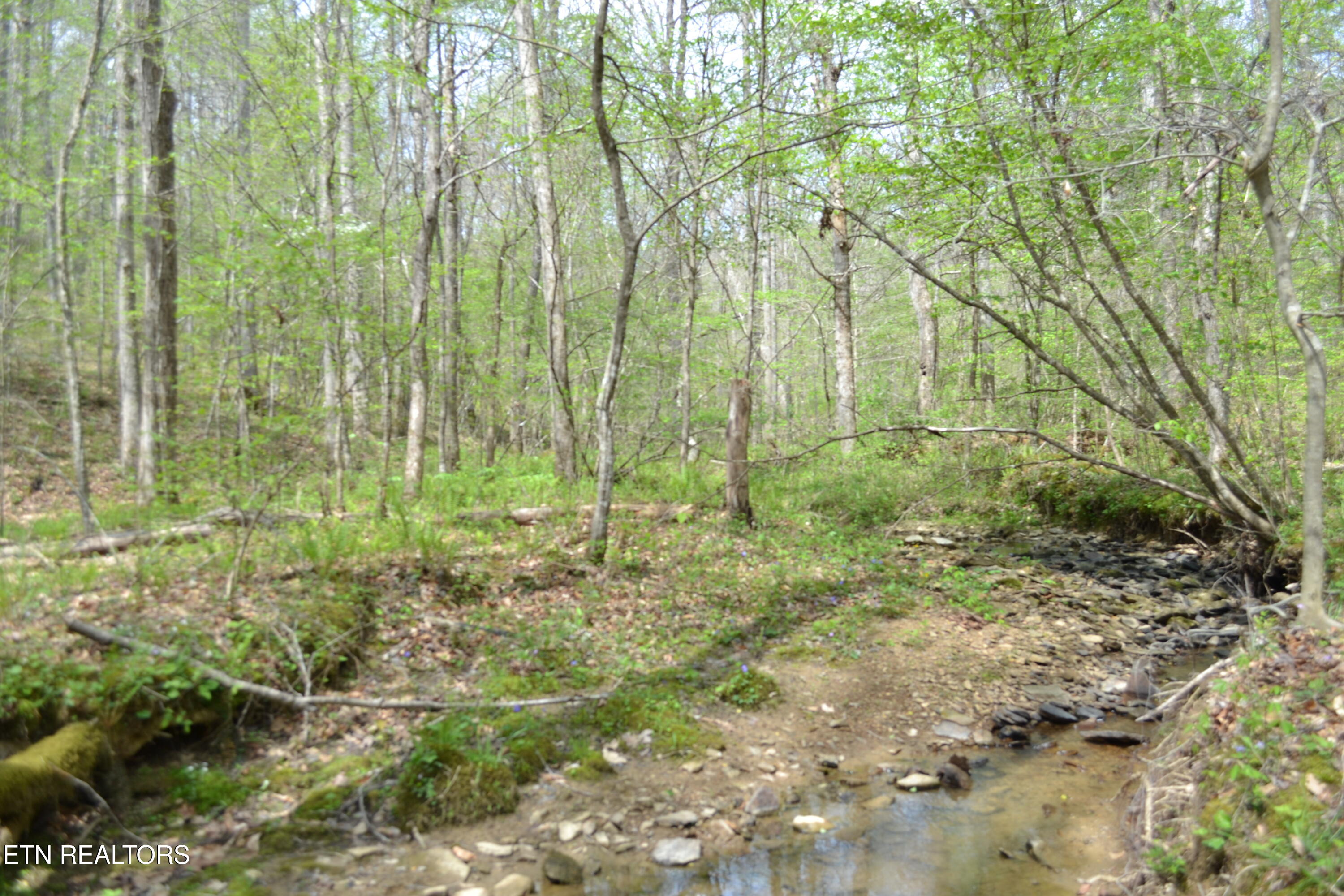 N Of Deer Lodge Highway Deer Lodge TN 37726