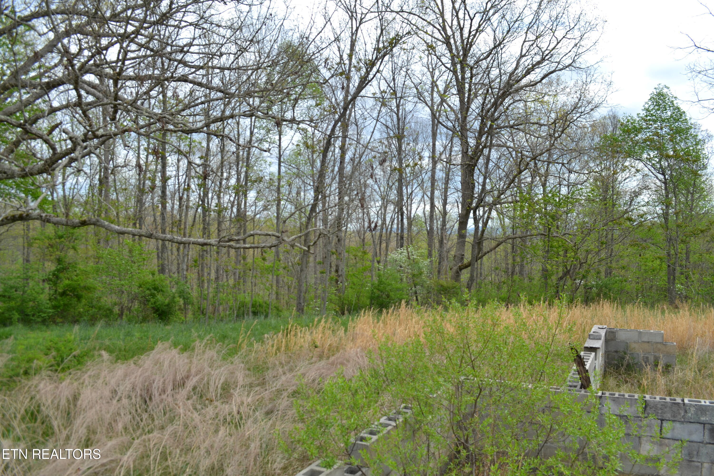 N Of Deer Lodge Highway Deer Lodge TN 37726