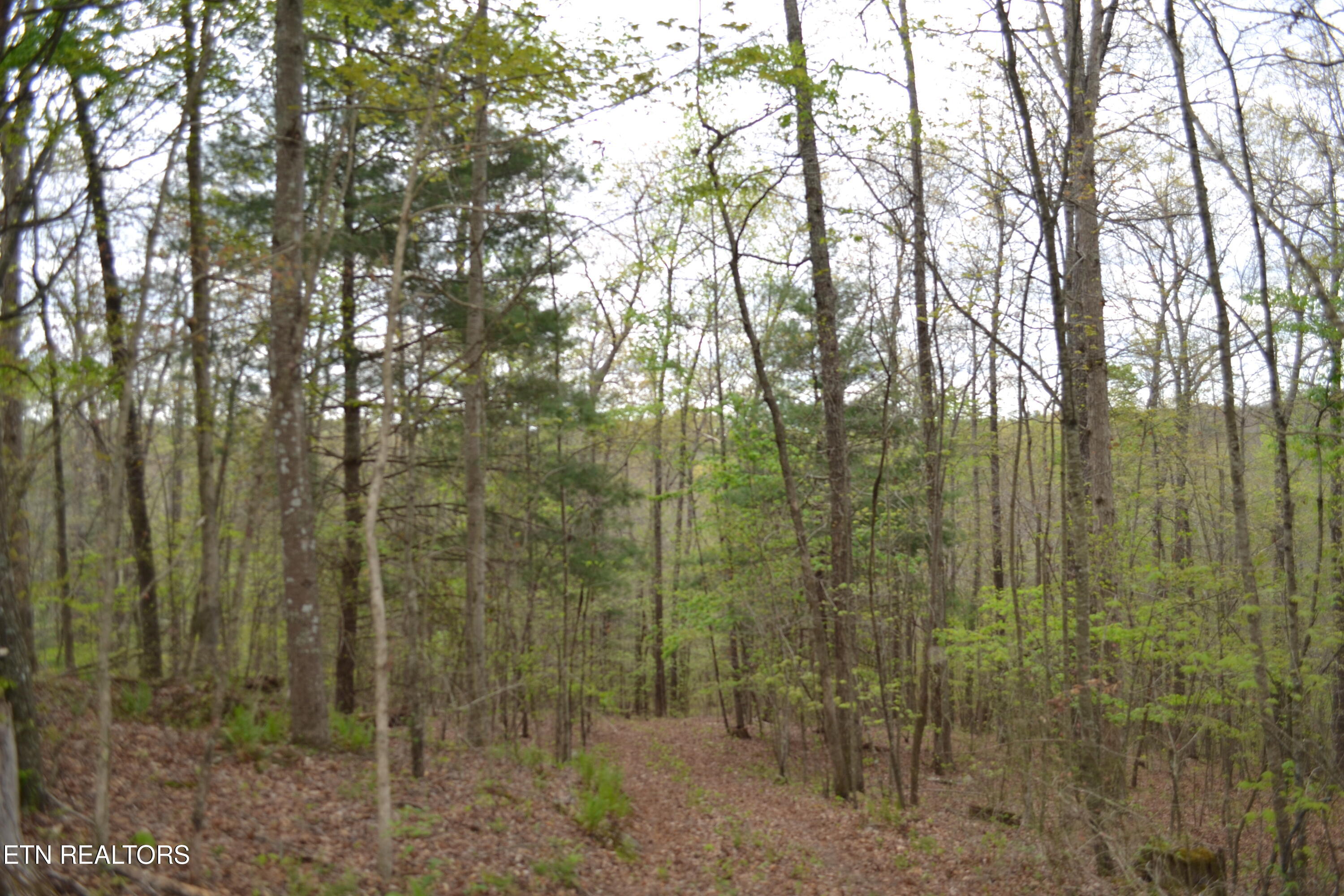 N Of Deer Lodge Highway Deer Lodge TN 37726