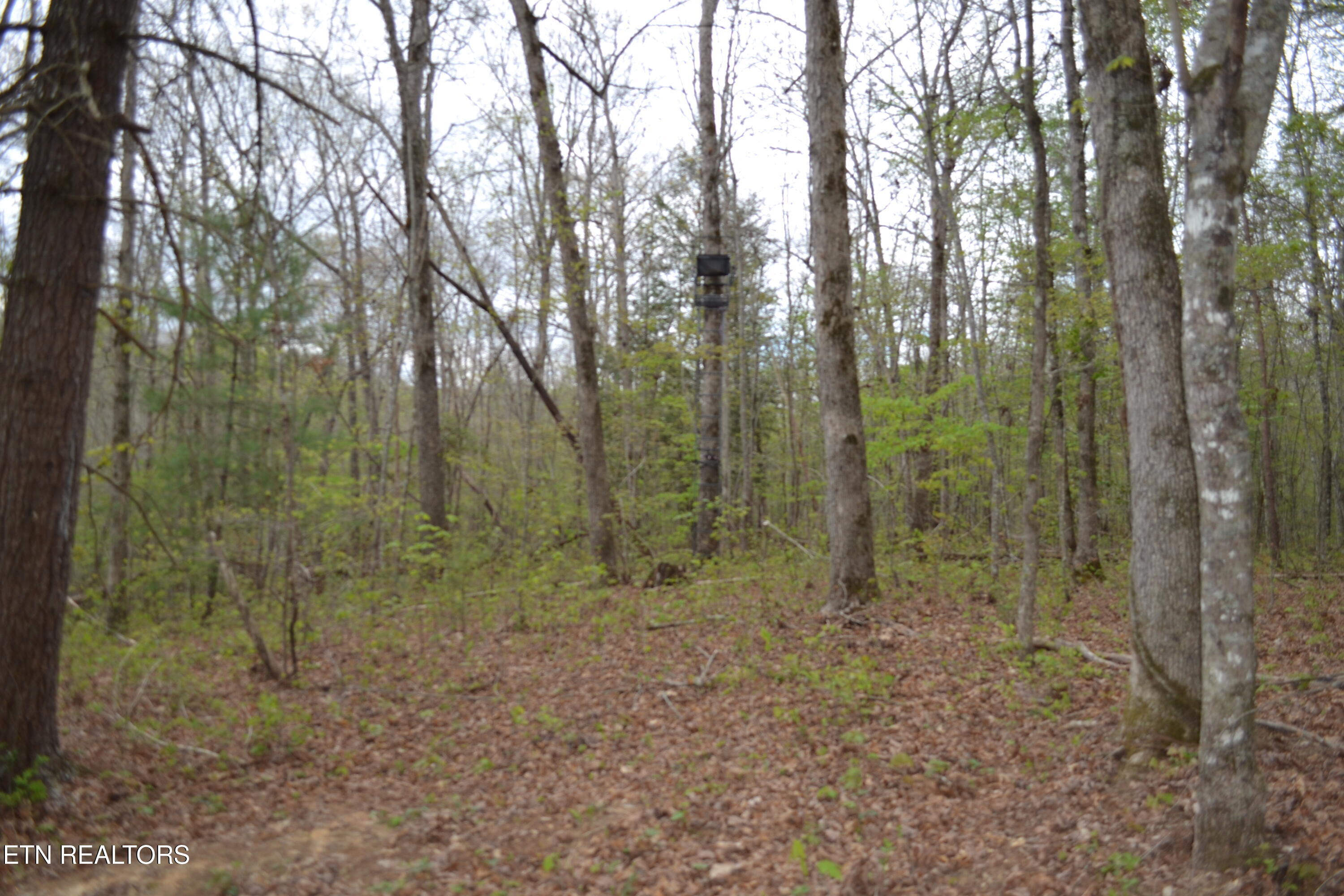 N Of Deer Lodge Highway Deer Lodge TN 37726