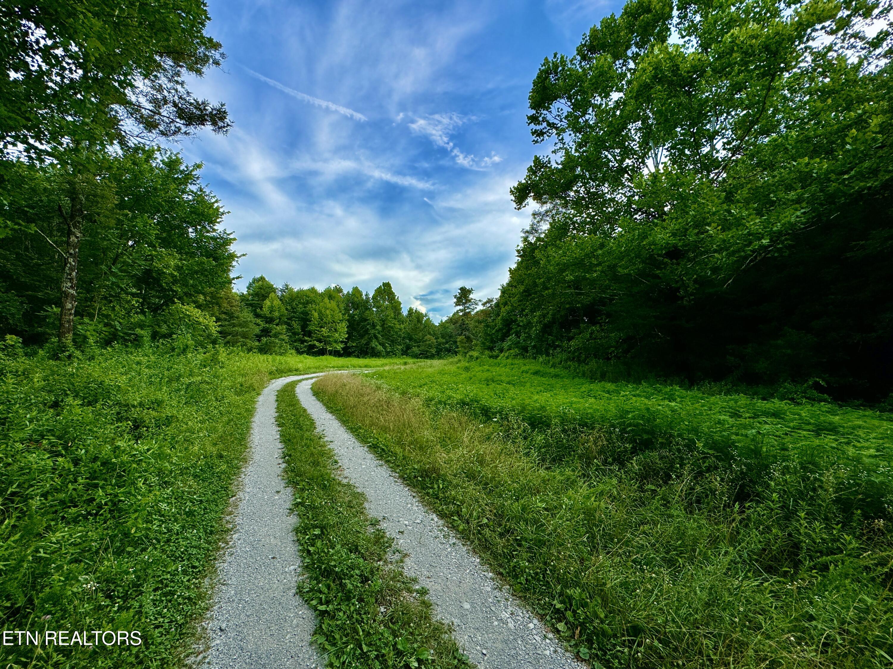 Smith Creek Road Winfield TN 37892