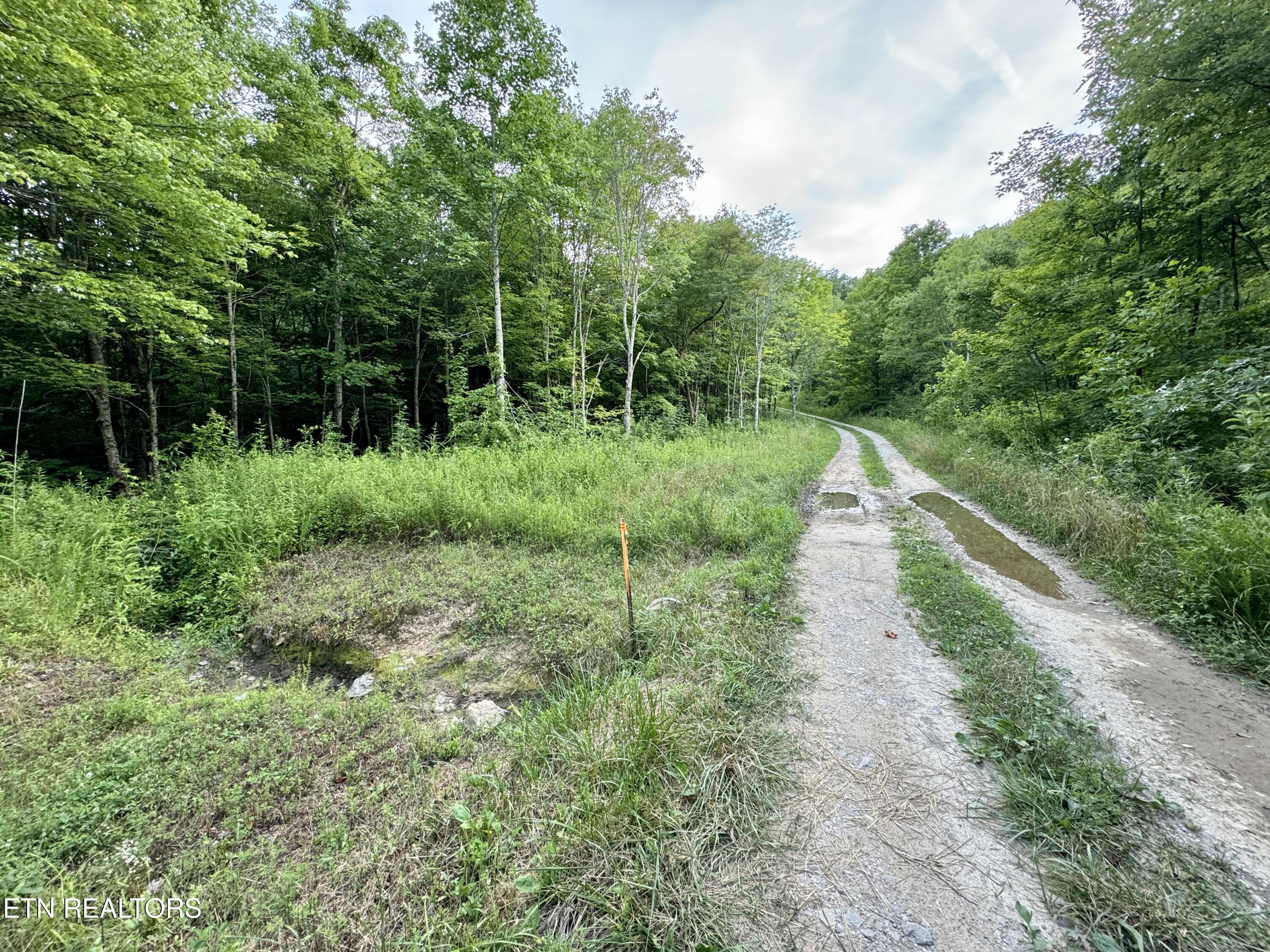 Smith Creek Road Winfield TN 37892