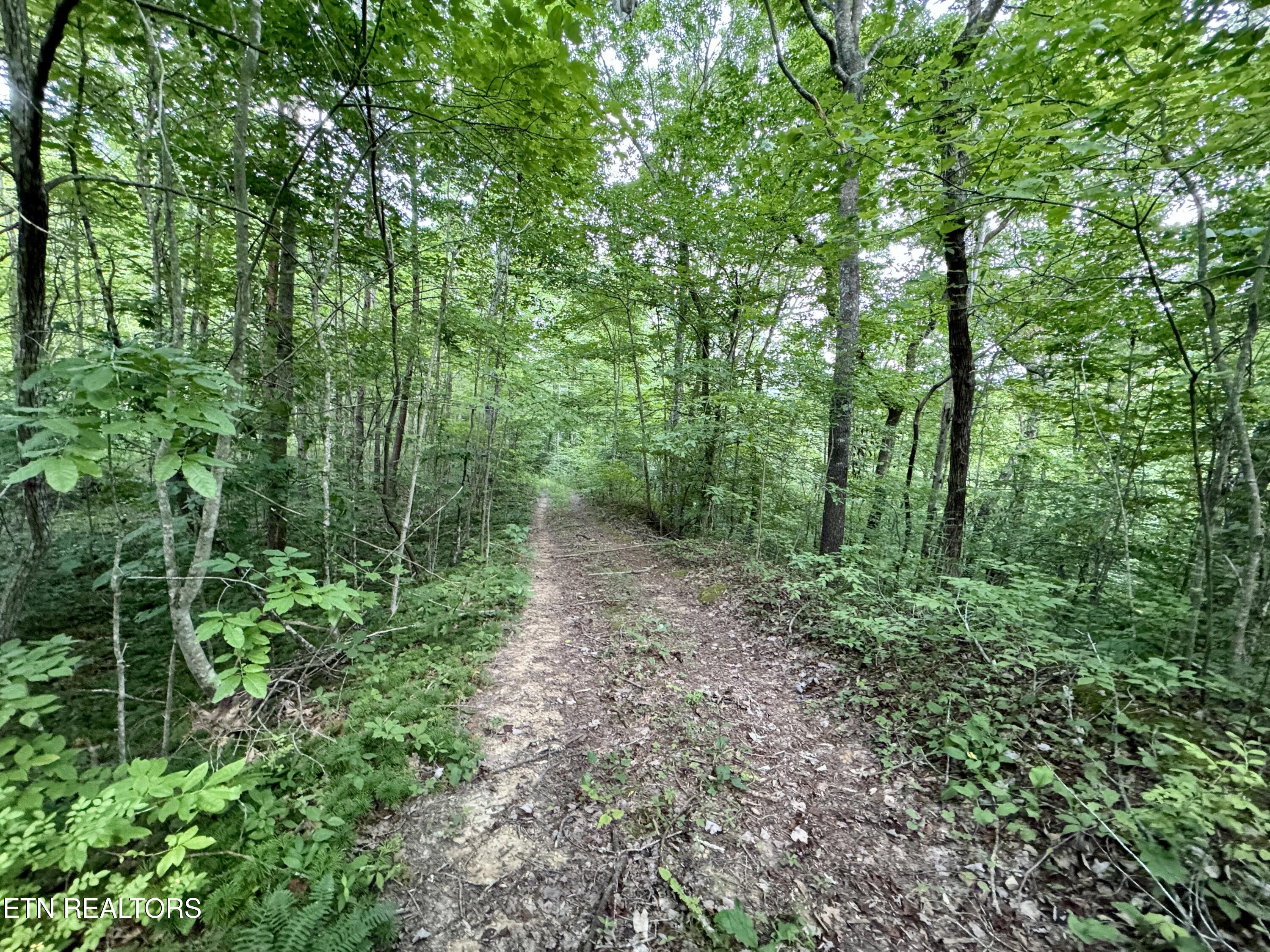 Smith Creek Road Winfield TN 37892