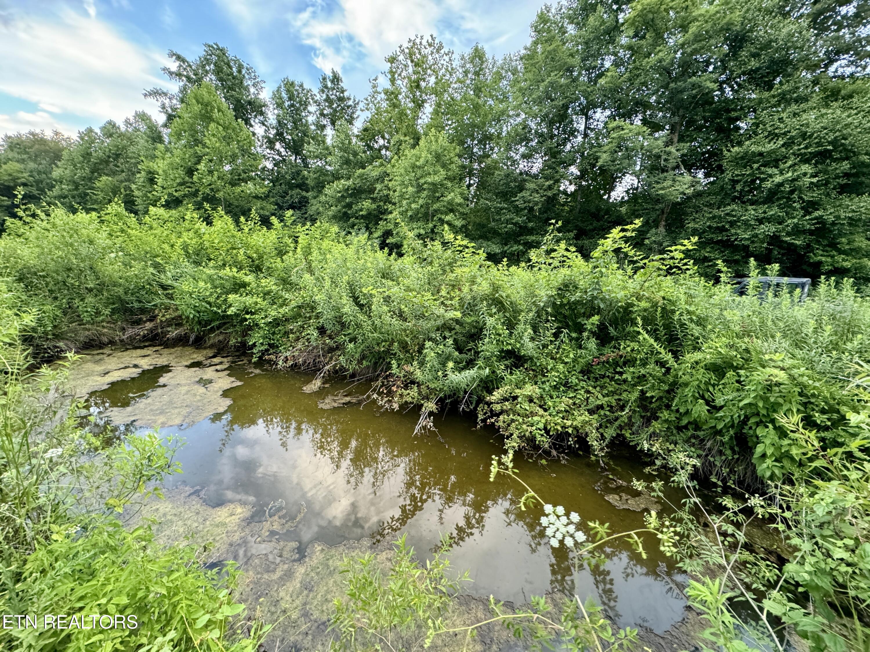 Smith Creek Road Winfield TN 37892