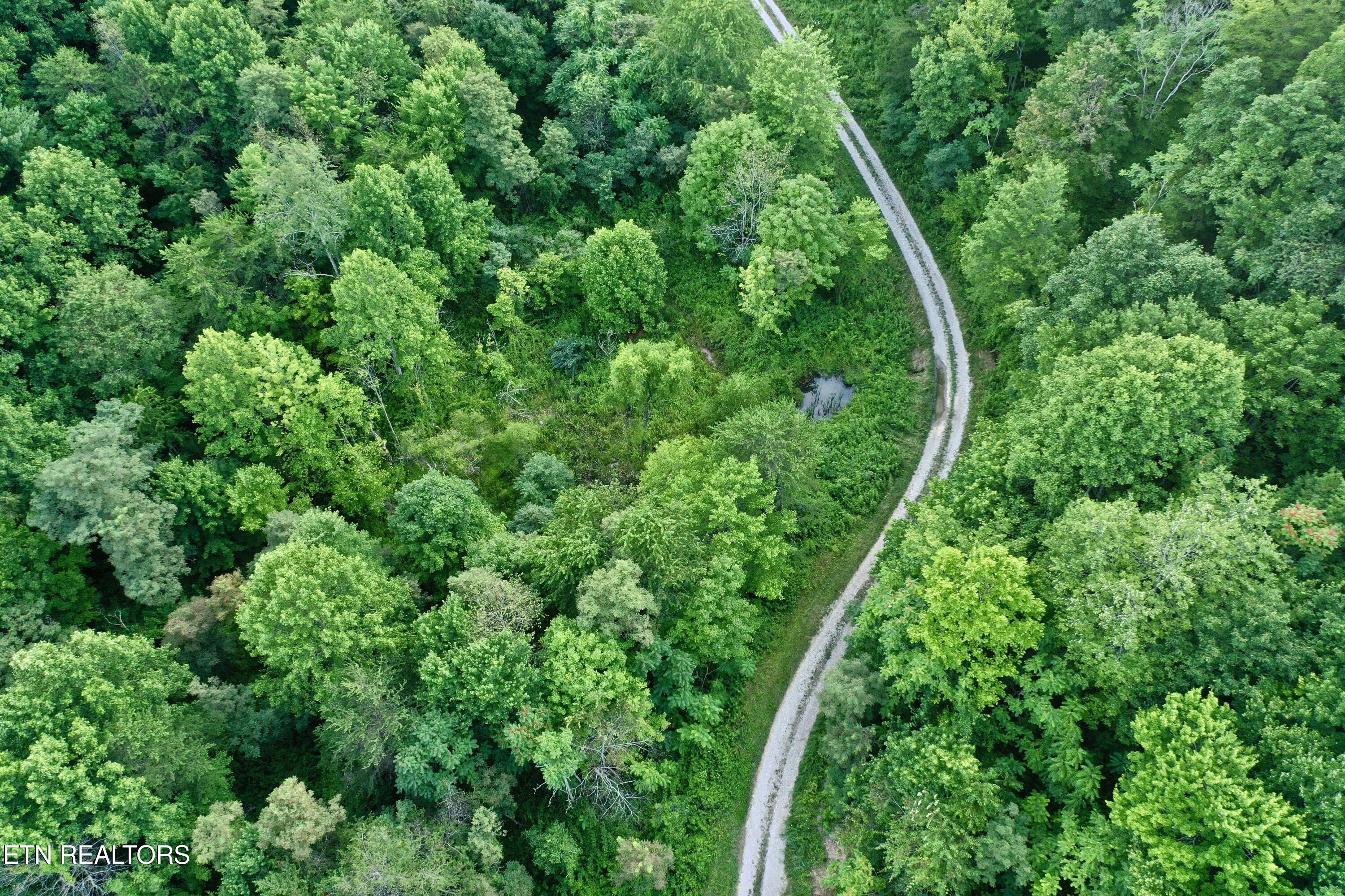 Smith Creek Road Winfield TN 37892