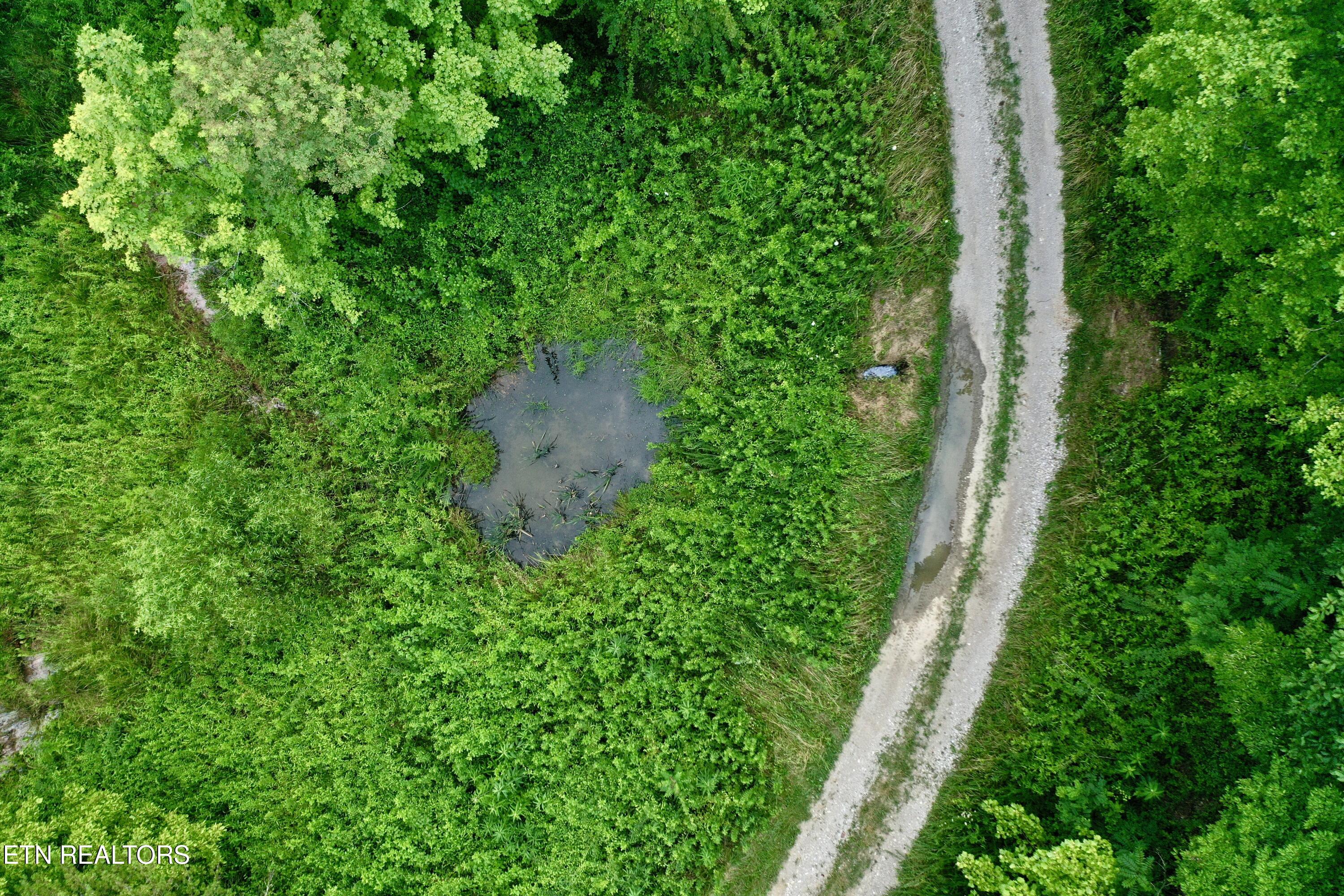 Smith Creek Road Winfield TN 37892