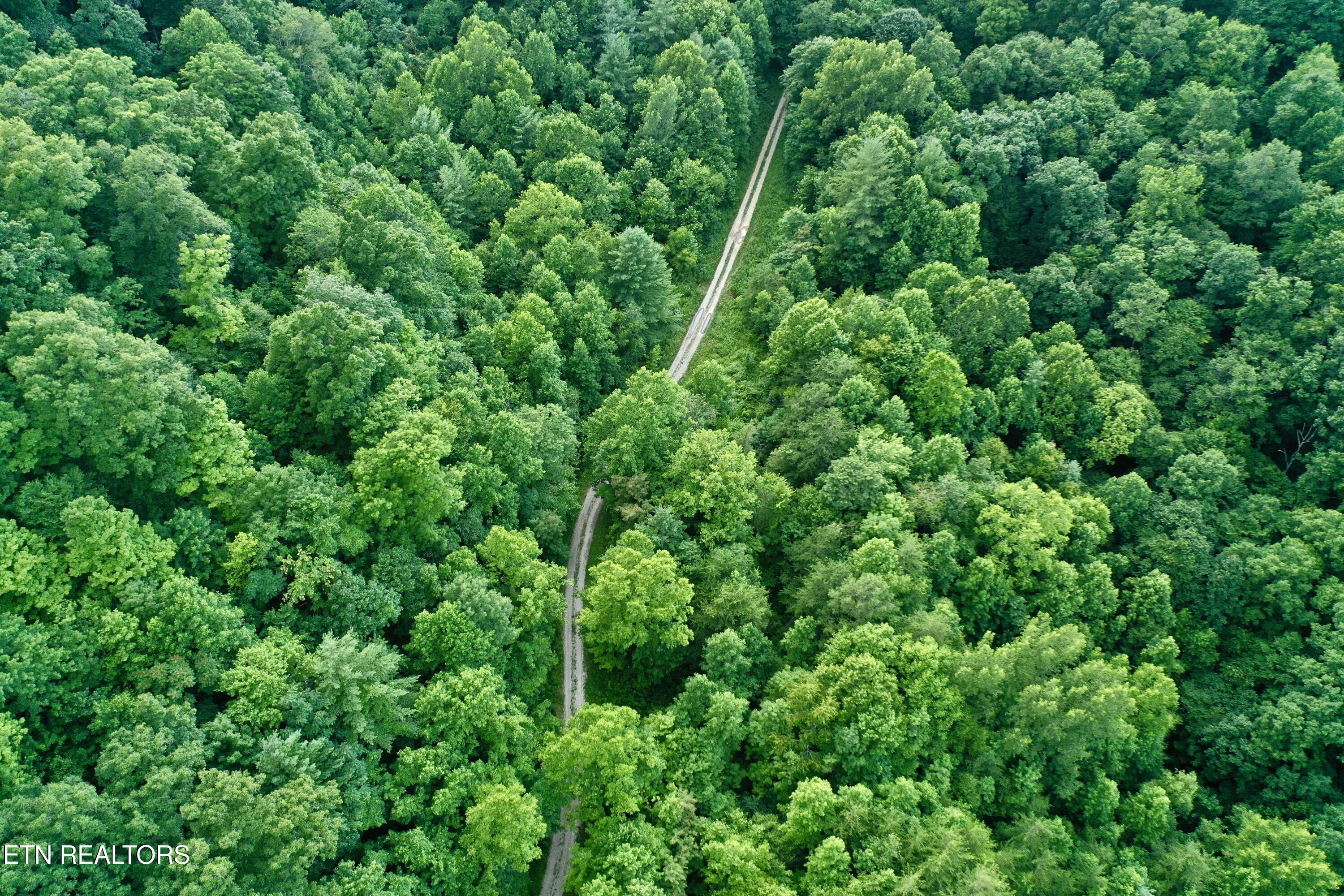 Smith Creek Road Winfield TN 37892