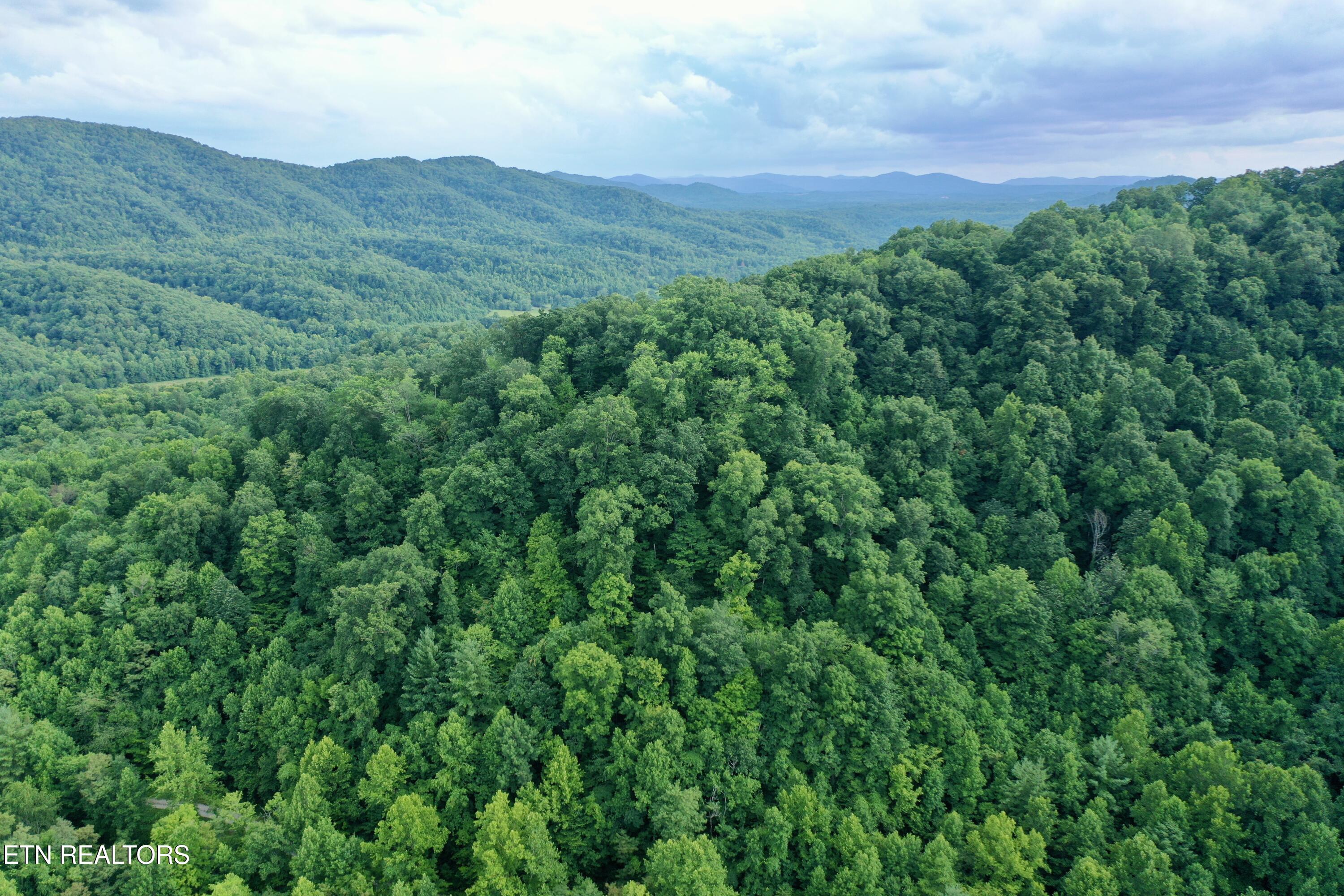 Smith Creek Road Winfield TN 37892