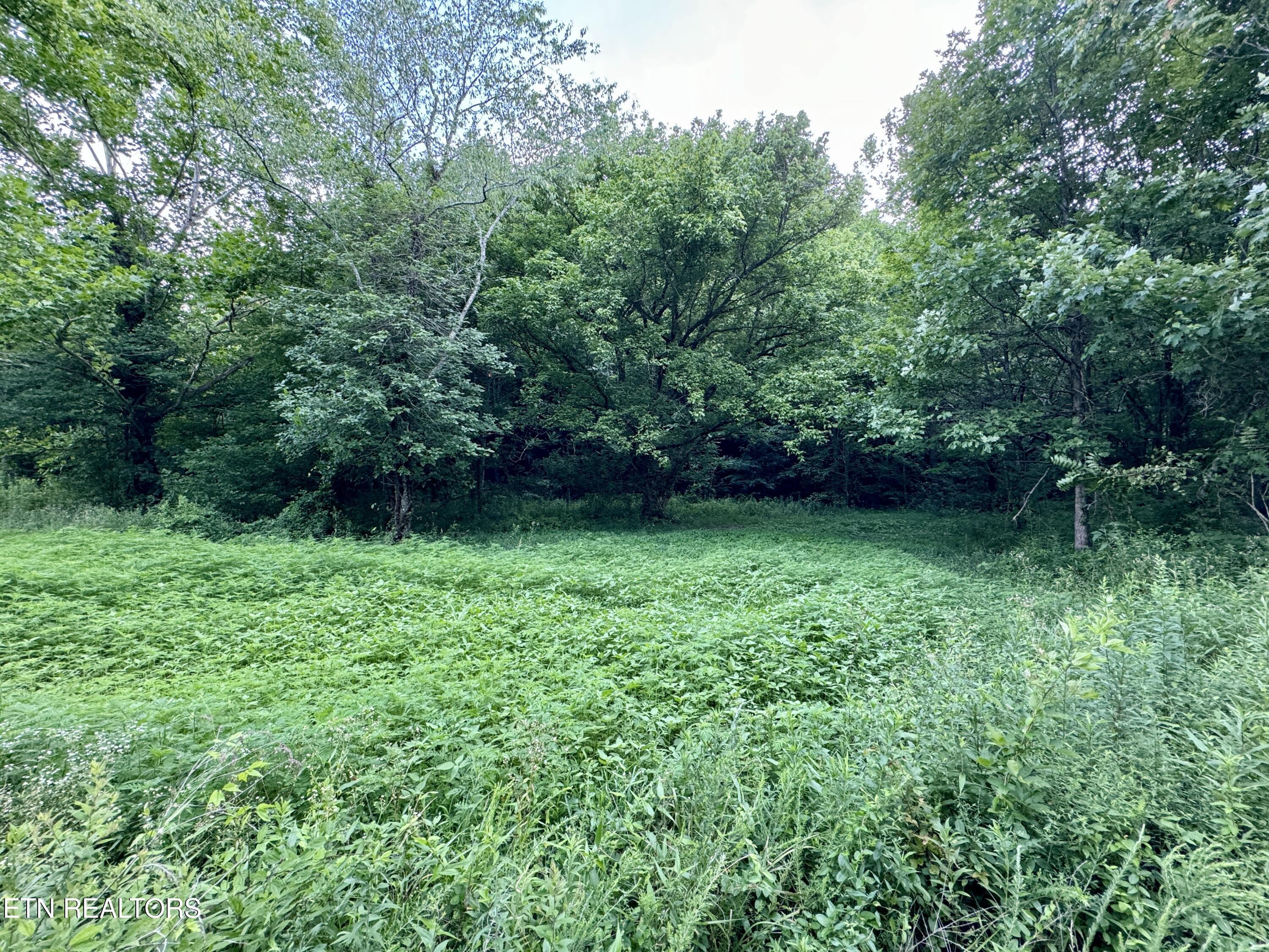 Smith Creek Road Winfield TN 37892