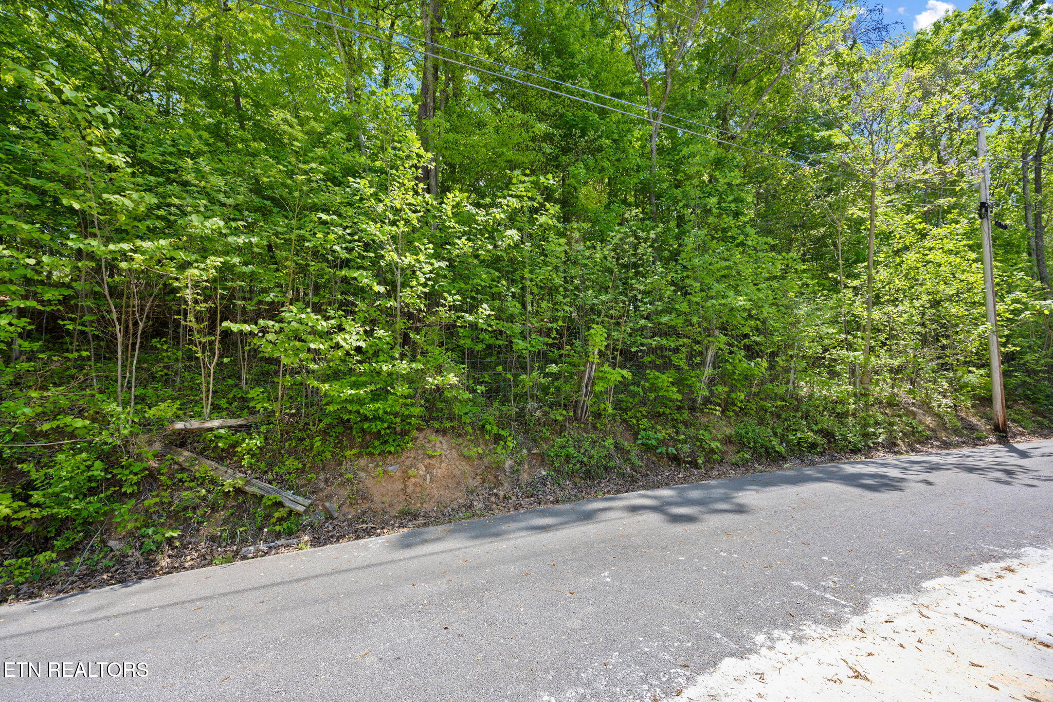 Lot E-2 Hagaman Lane Andersonville TN 37705