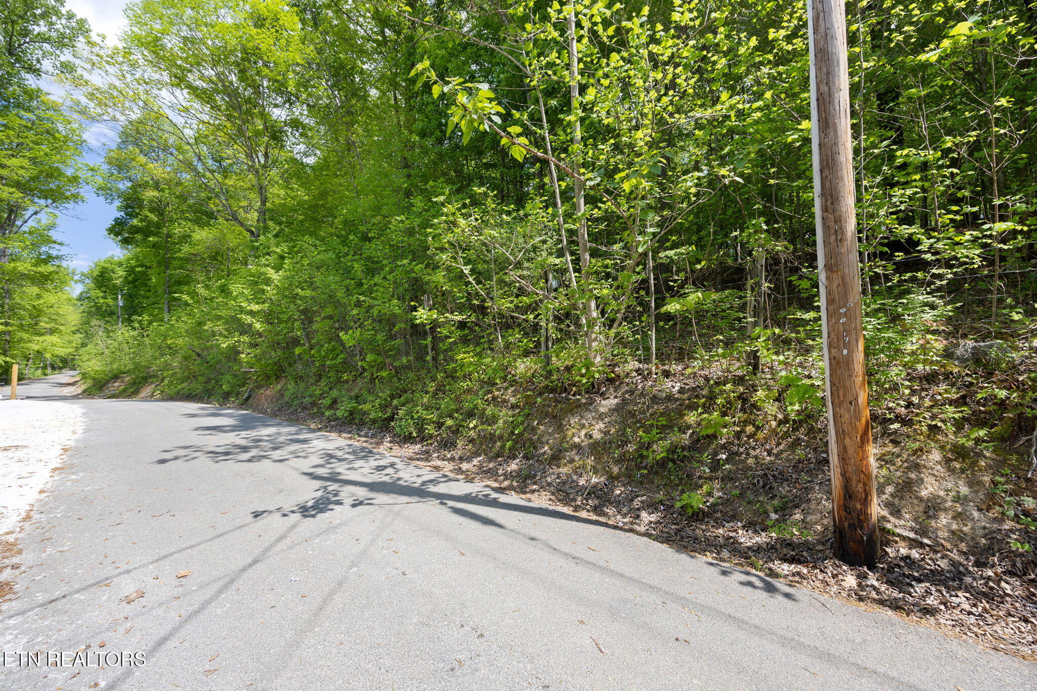 Lot E-2 Hagaman Lane Andersonville TN 37705