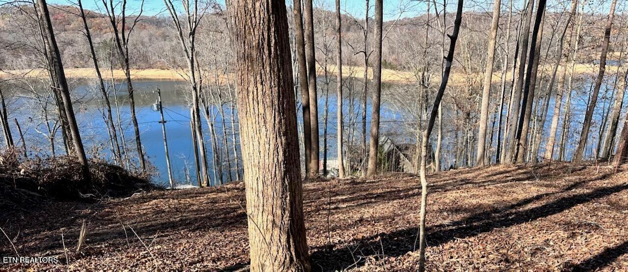 Lot E-2 Hagaman Lane Andersonville TN 37705