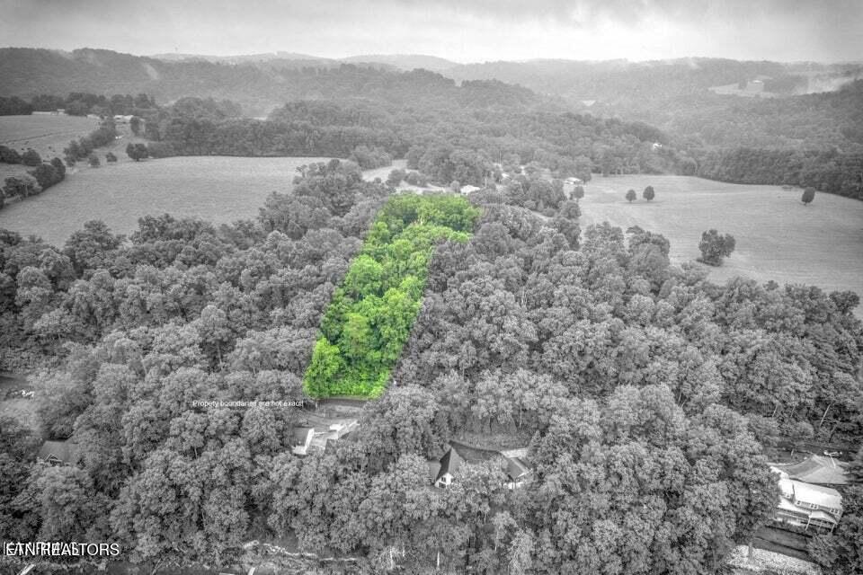 Lot E-2 Hagaman Lane Andersonville TN 37705