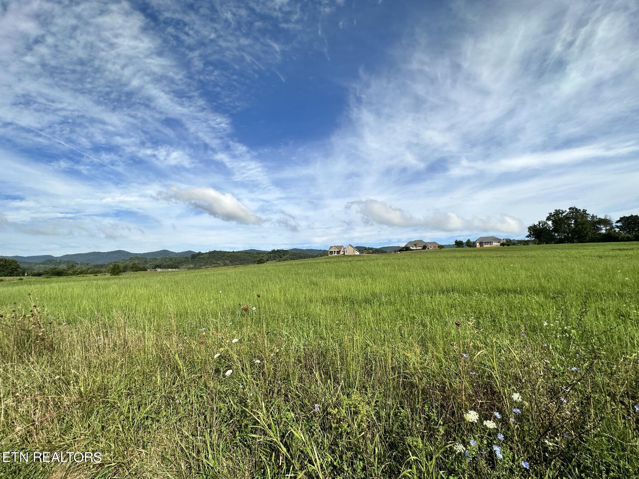 Lot 13 Bluebird Lane Speedwell TN 37870