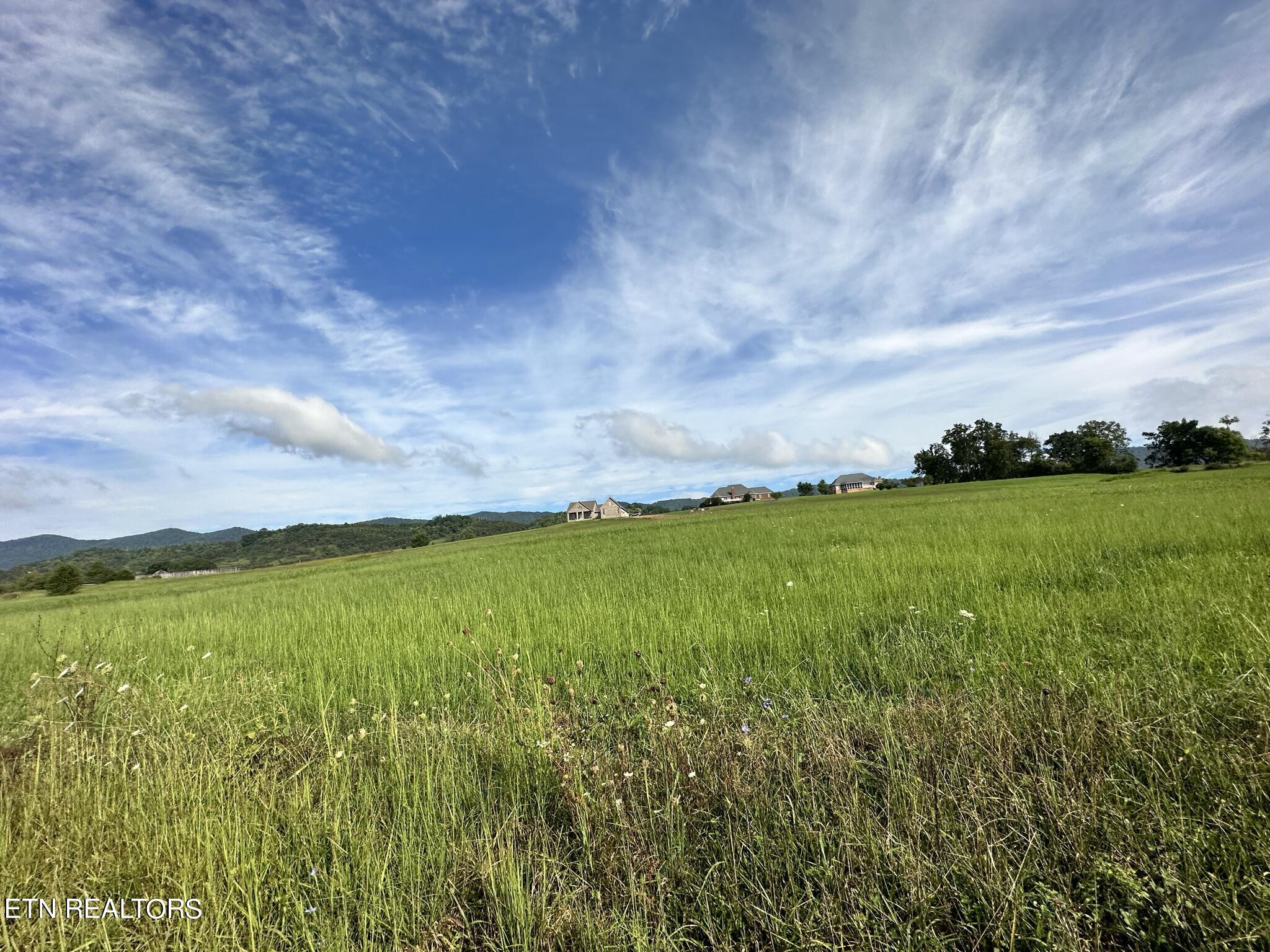Lot 13 Bluebird Lane Speedwell TN 37870