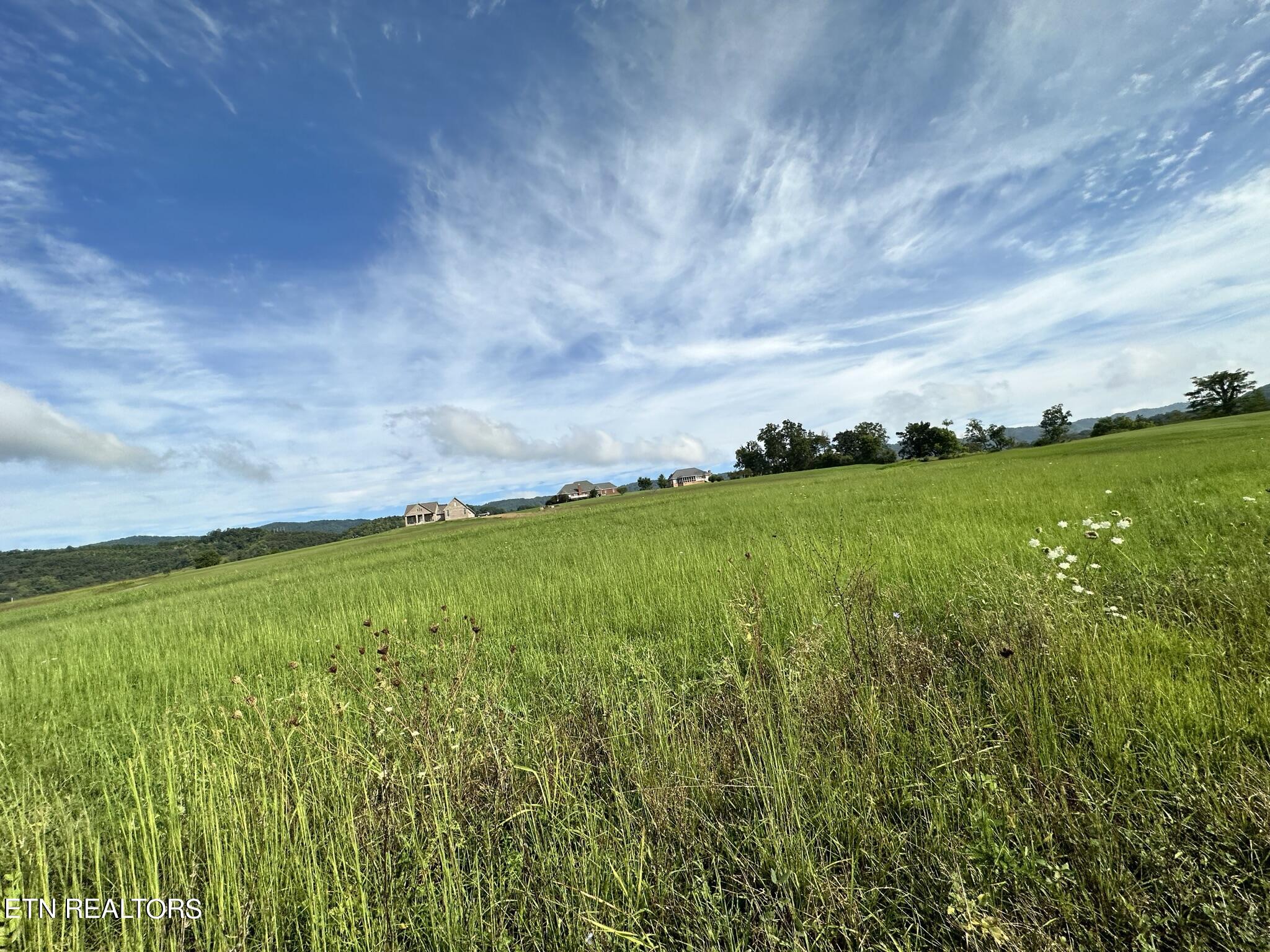 Lot 13 Bluebird Lane Speedwell TN 37870