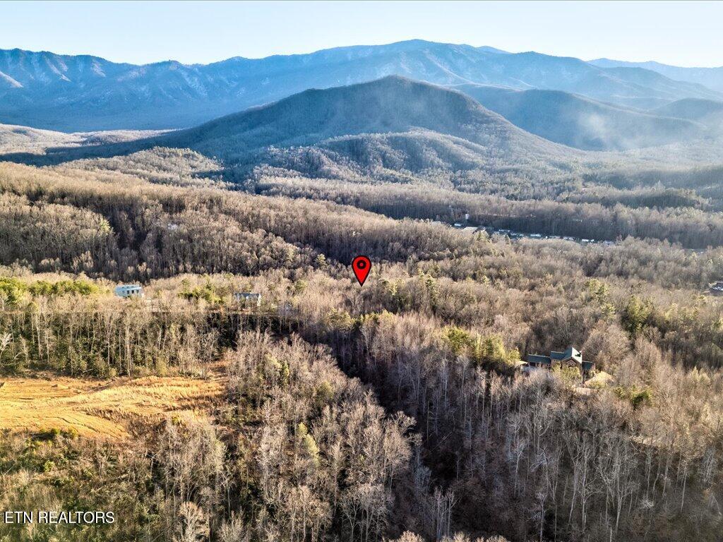 Lot 31 Sonshine Ridge Road Cosby TN 37722