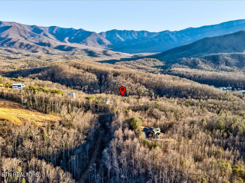 Lot 31 Sonshine Ridge Road Cosby TN 37722