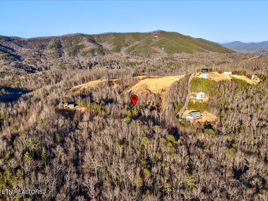 Lot 31 Sonshine Ridge Road Cosby TN 37722