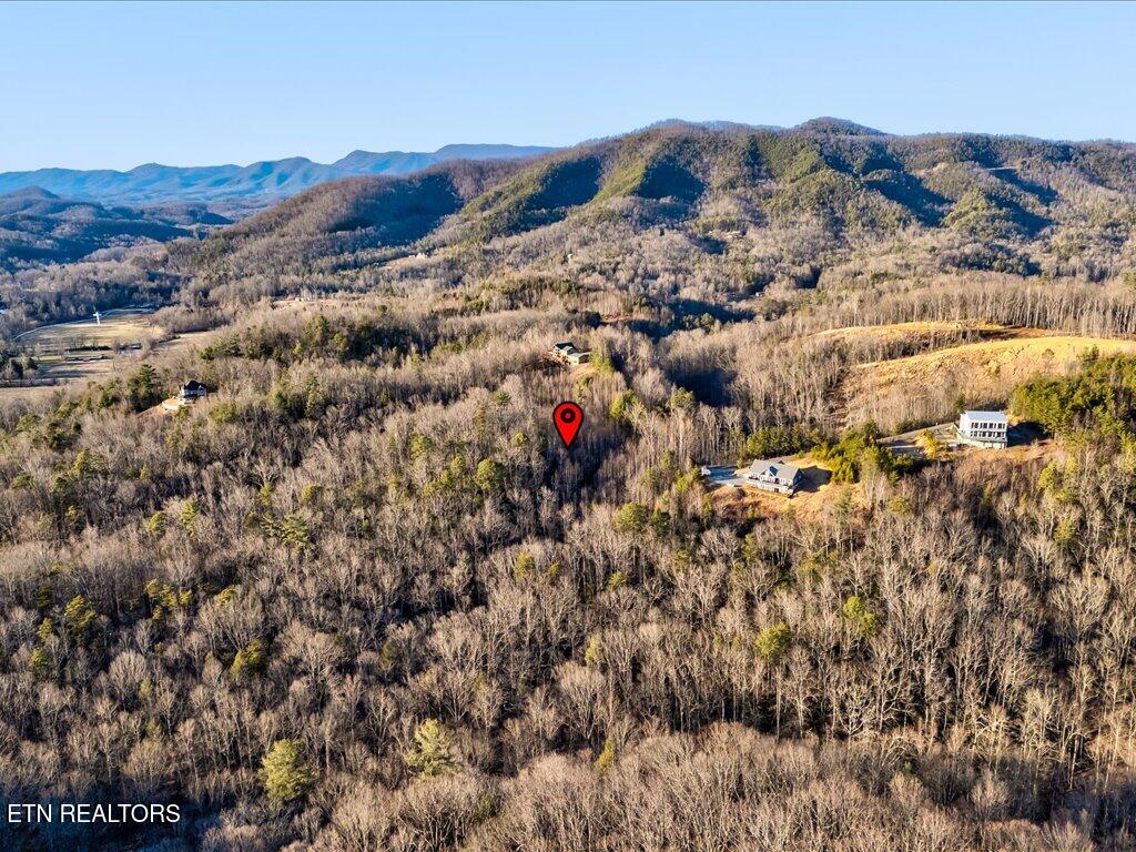 Lot 31 Sonshine Ridge Road Cosby TN 37722