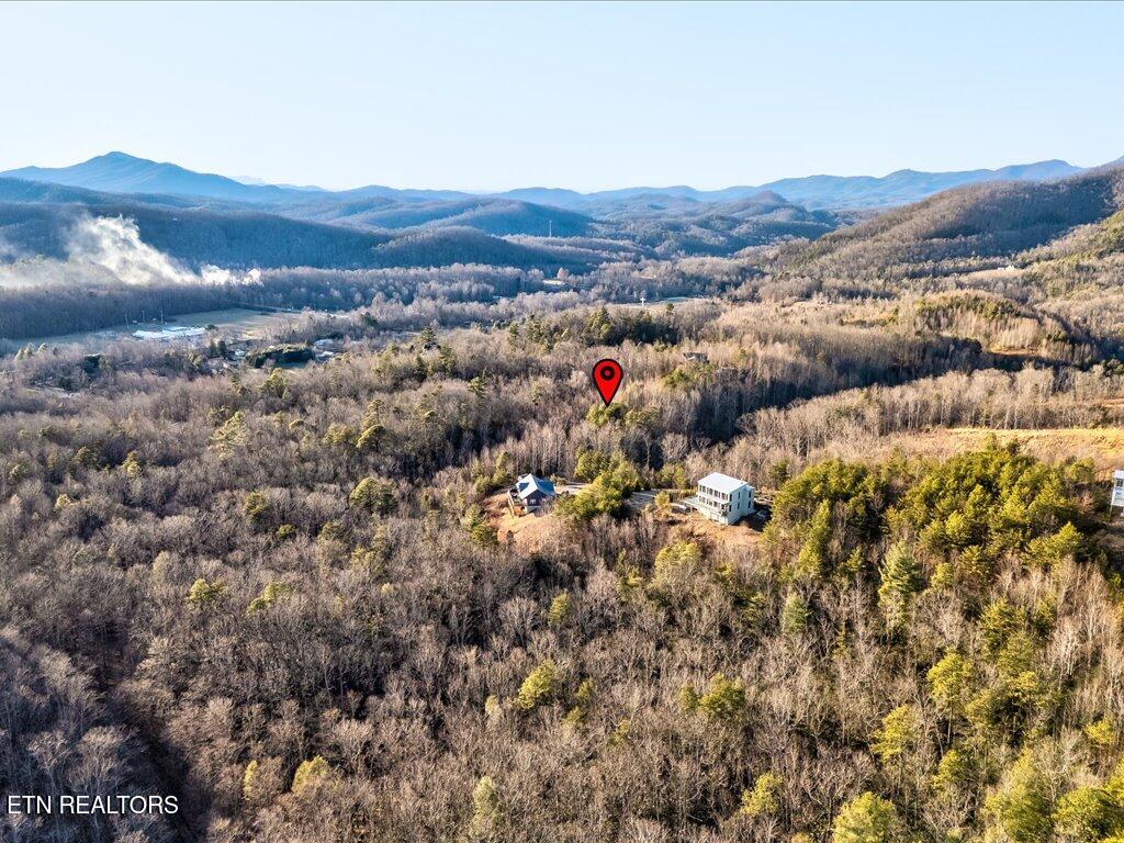 Lot 31 Sonshine Ridge Road Cosby TN 37722