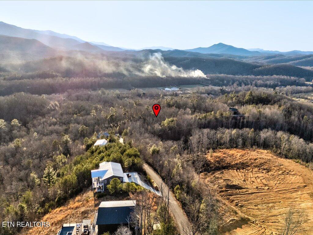 Lot 31 Sonshine Ridge Road Cosby TN 37722