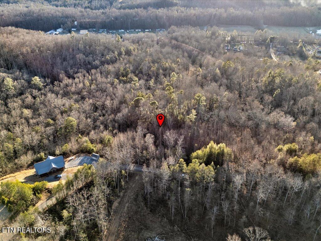 Lot 31 Sonshine Ridge Road Cosby TN 37722