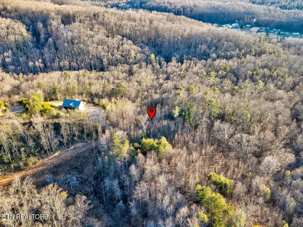 Lot 31 Sonshine Ridge Road Cosby TN 37722