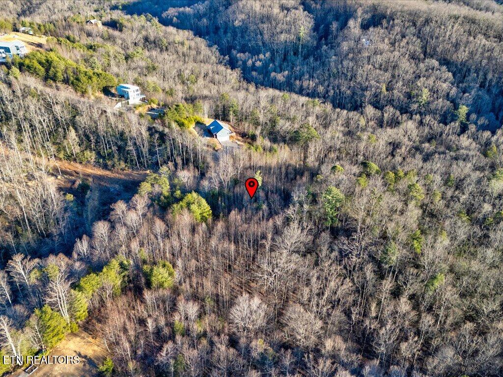 Lot 31 Sonshine Ridge Road Cosby TN 37722
