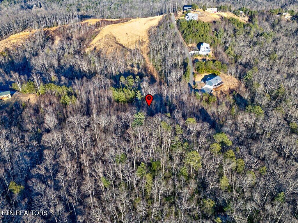 Lot 31 Sonshine Ridge Road Cosby TN 37722